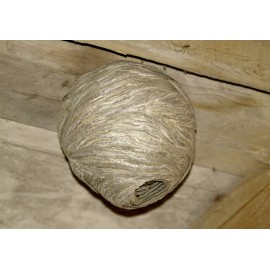 Ál darázsfészek Ø 200 x 280 mm 2 db Gardigo Wasp Nest Dummy 666612 3. kép