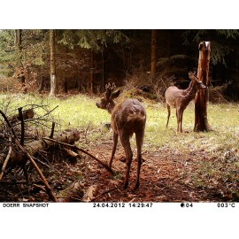 DÖRR SnapShot MiniBlack Vadmegfigyelő kamera 12 MPix Hangfelvevő Terepszínű 3. kép