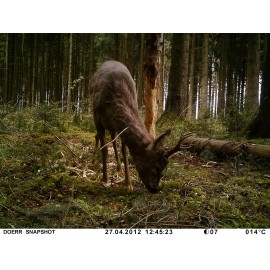 DÖRR SnapShot MiniBlack Vadmegfigyelő kamera 12 MPix Hangfelvevő Terepszínű 4. kép