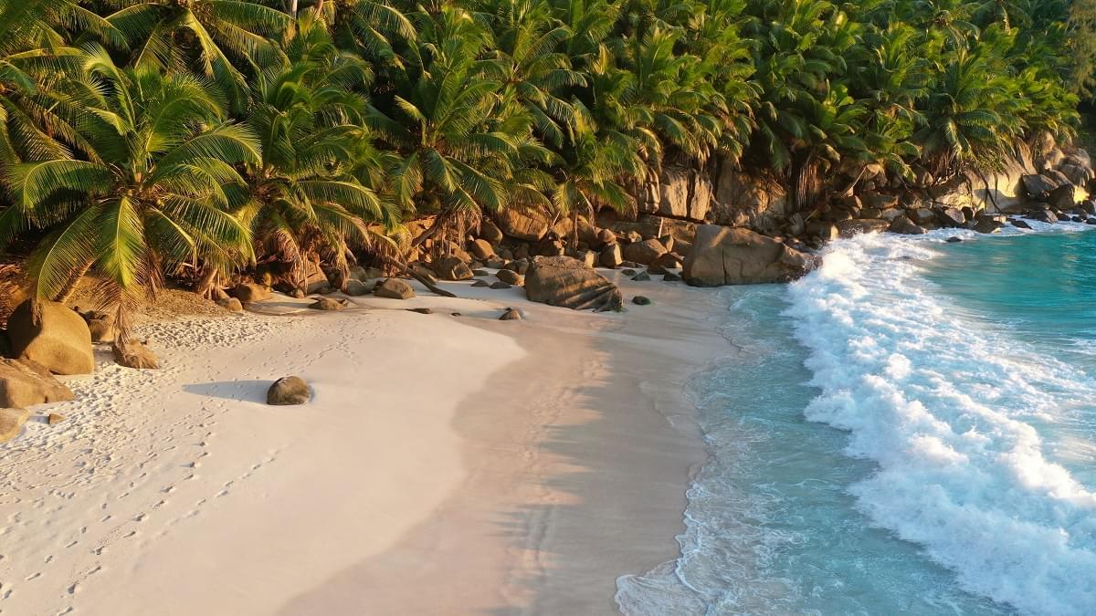 7 Nights 8 Days Seychelles Tour Package