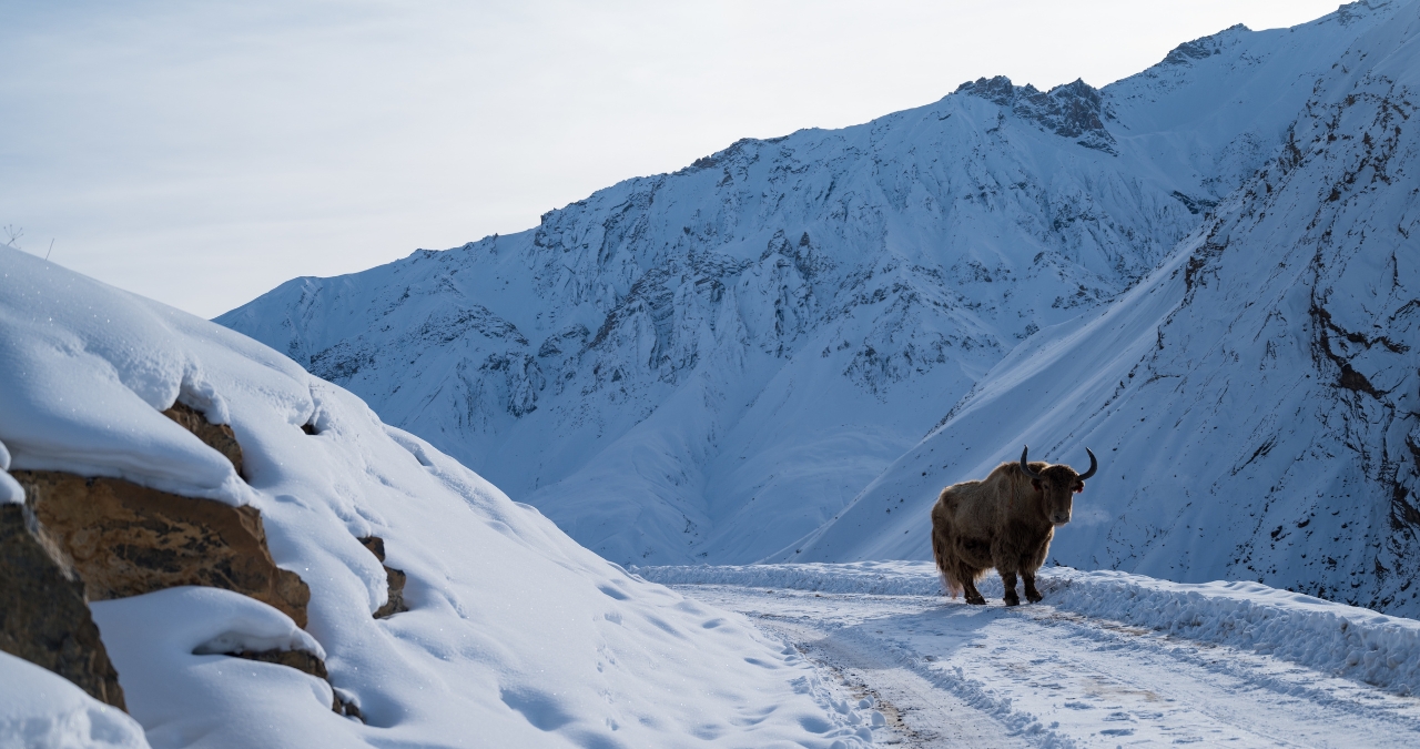 Winter Spiti