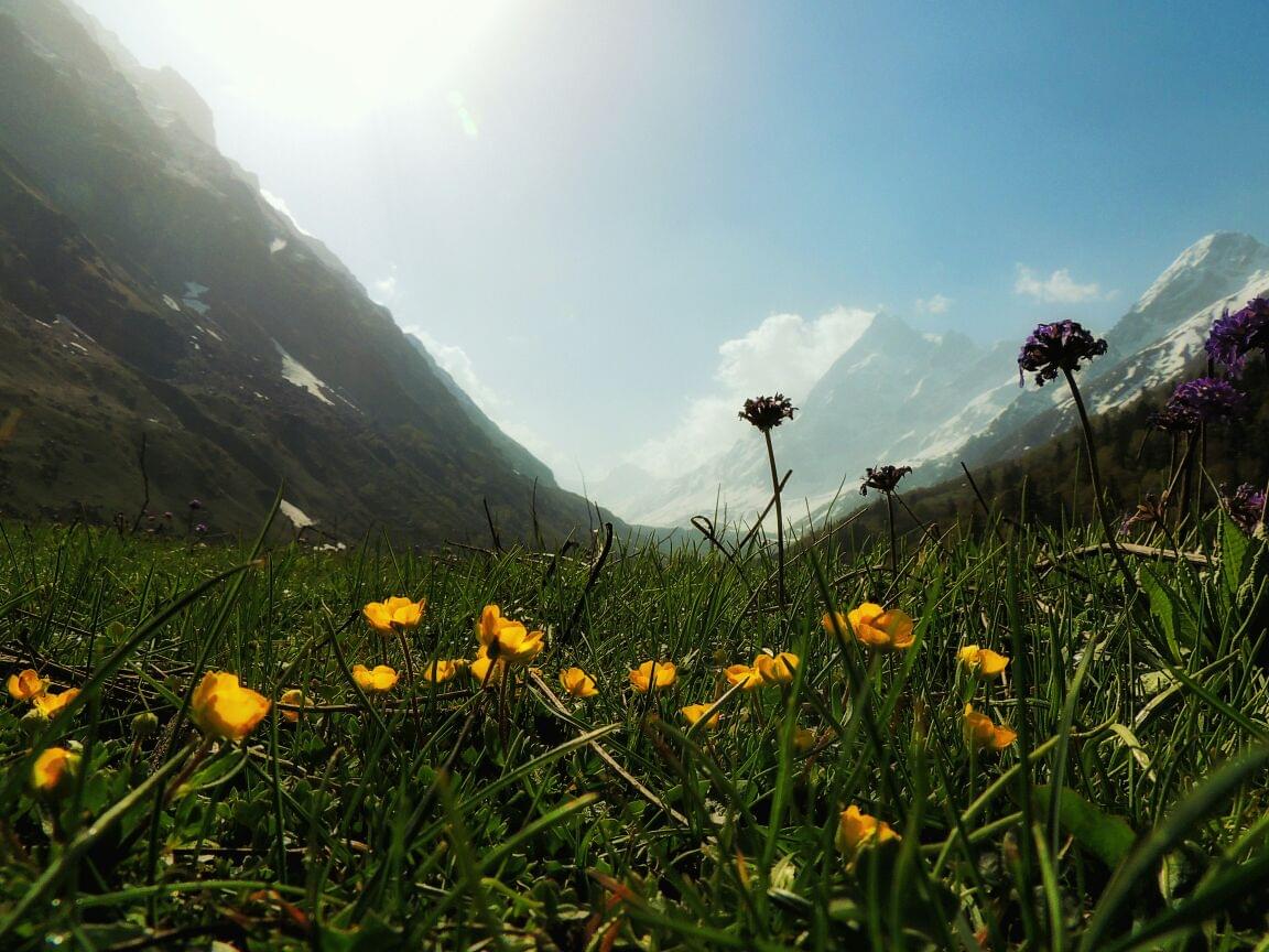 Har ki Dun Valley