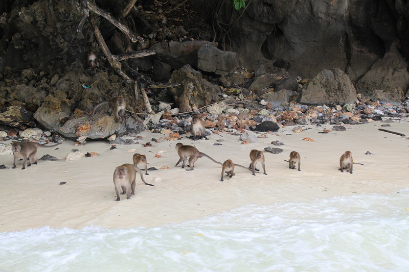 Monkey Beach, Phi Phi Island
