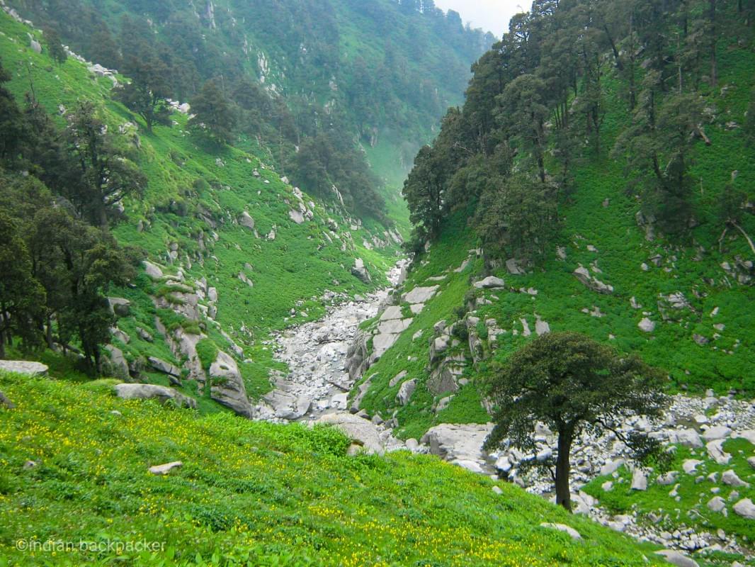 A valley near snowline cafe