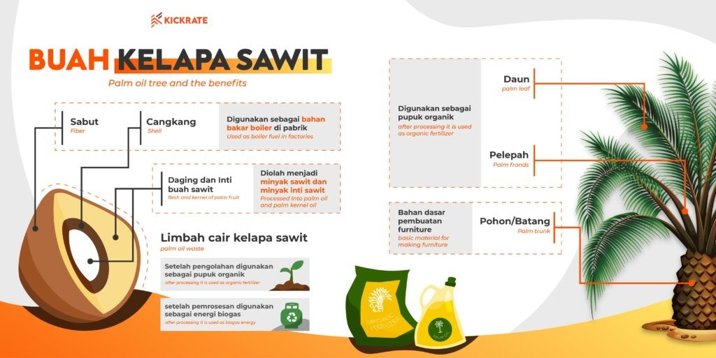 Crude Palm Kernel Oil (CPKO) - PT. INTINUSA NIAGA ABADI