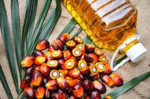 palm oil indonesia