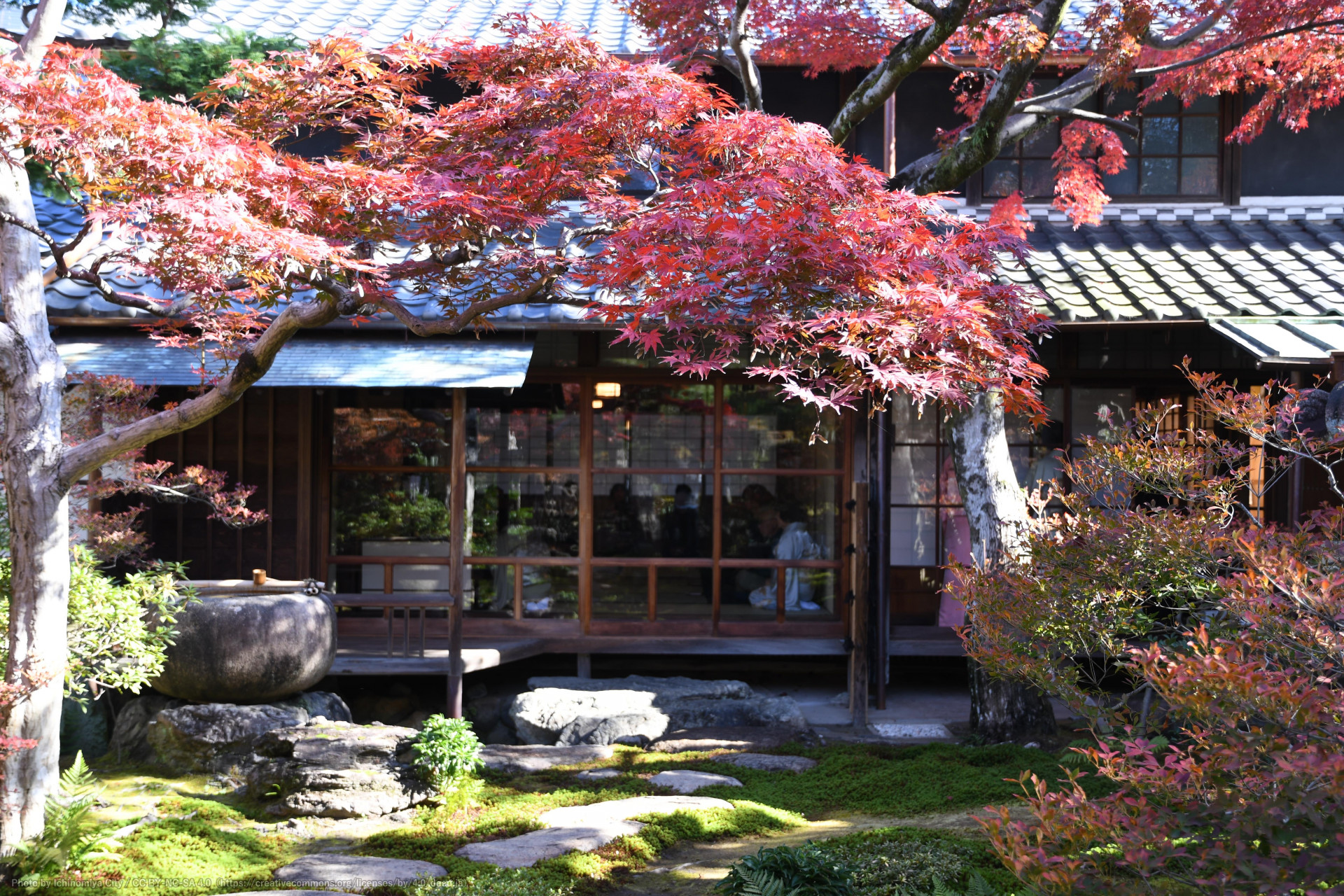 庭園の紅葉（尾西歴史民俗資料館別館 【旧林家住宅】）