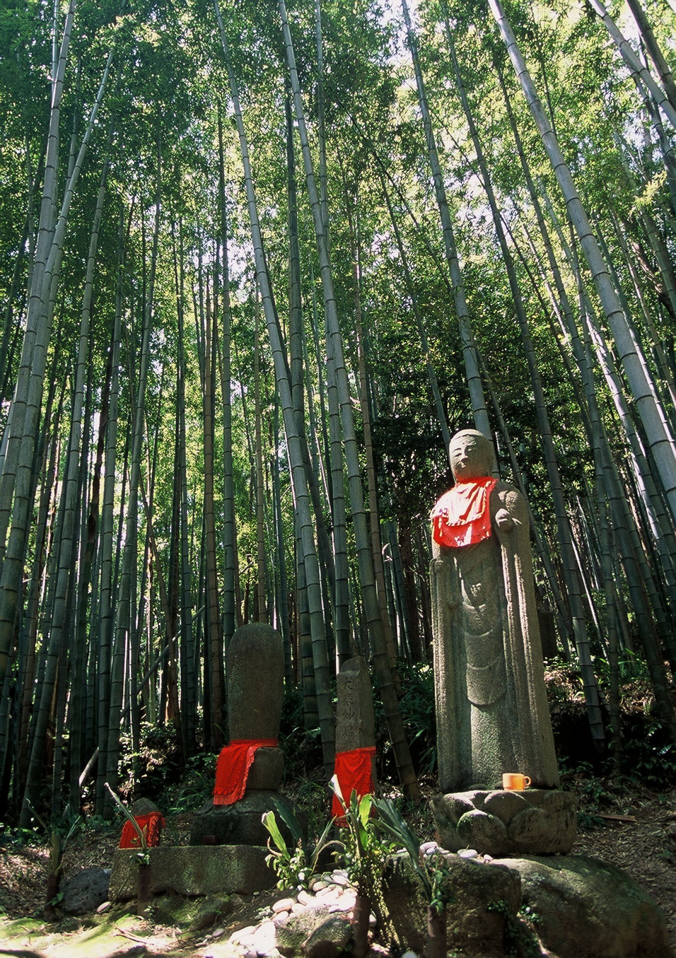 松本峠(熊野古道伊勢路)