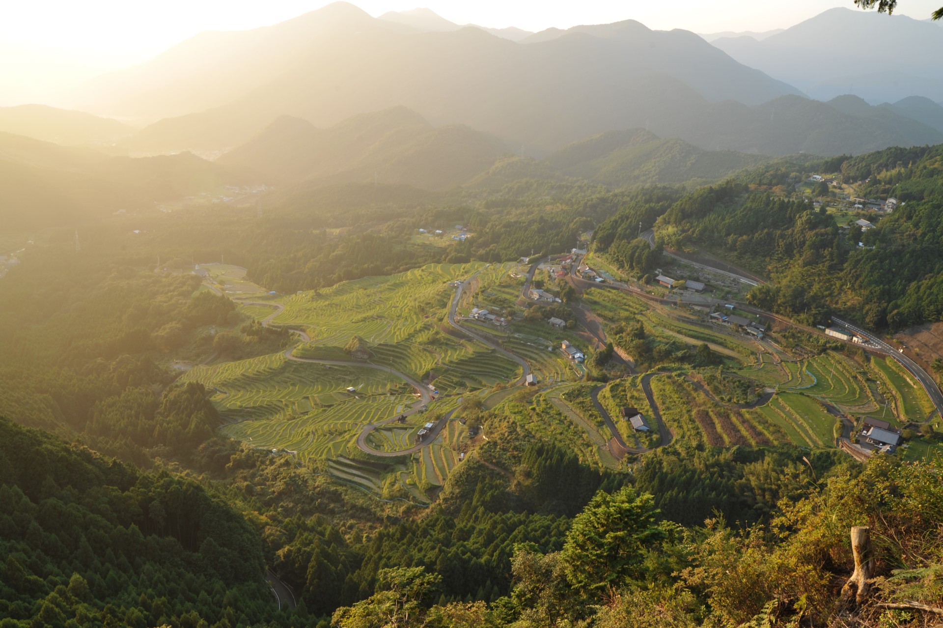 丸山千枚田（夕日）