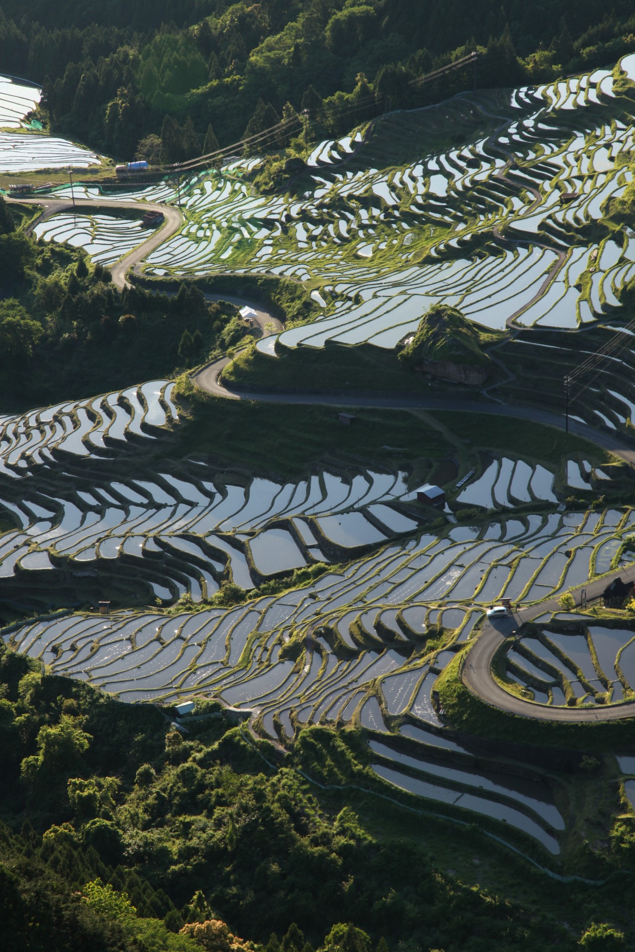 丸山千枚田