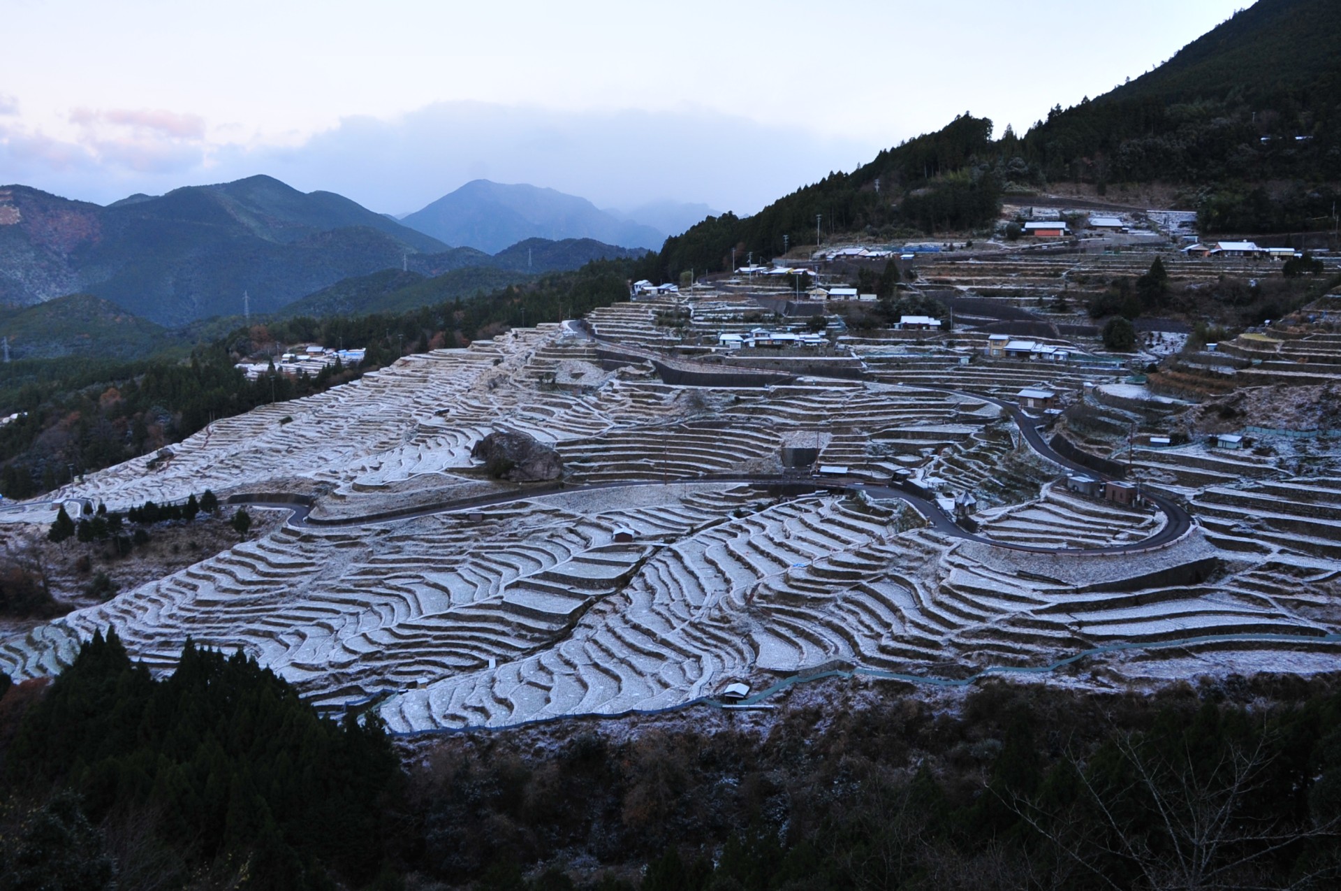 丸山千枚田（雪）