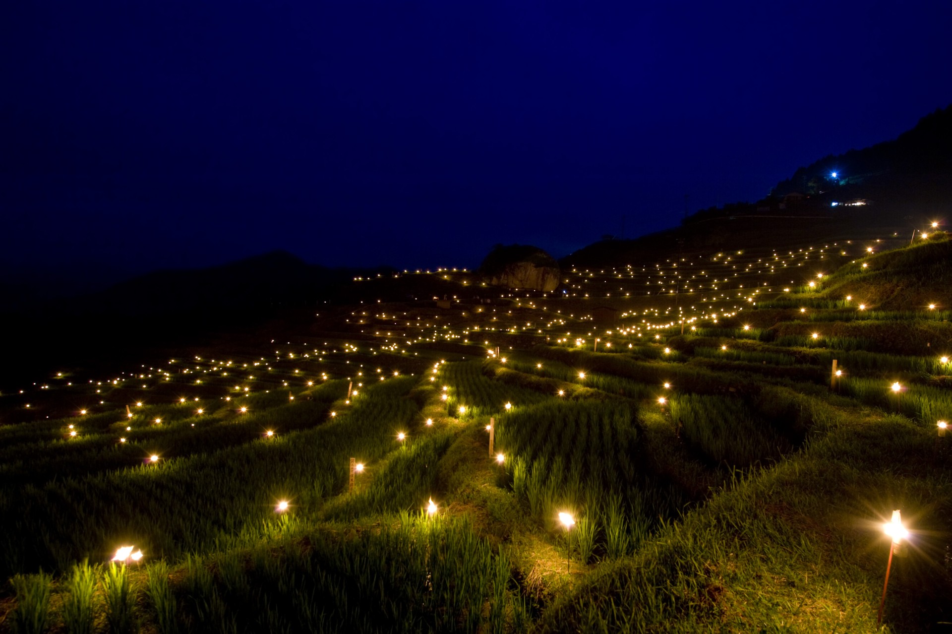 丸山千枚田（虫おくり）