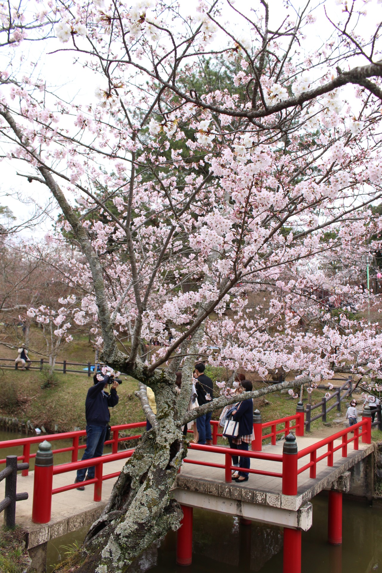 津偕楽公園