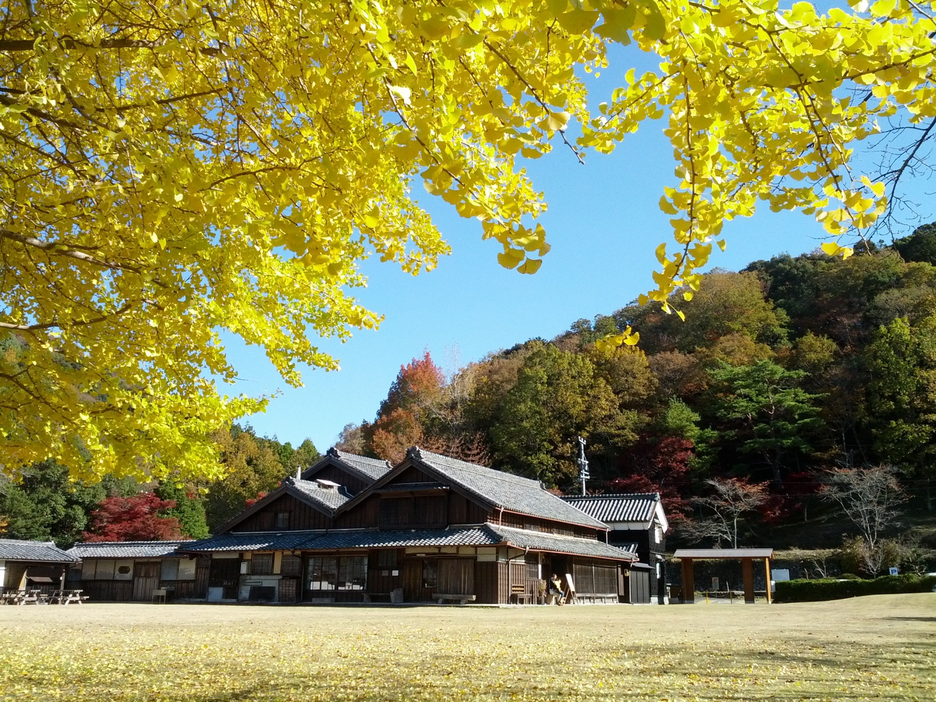 油田公園