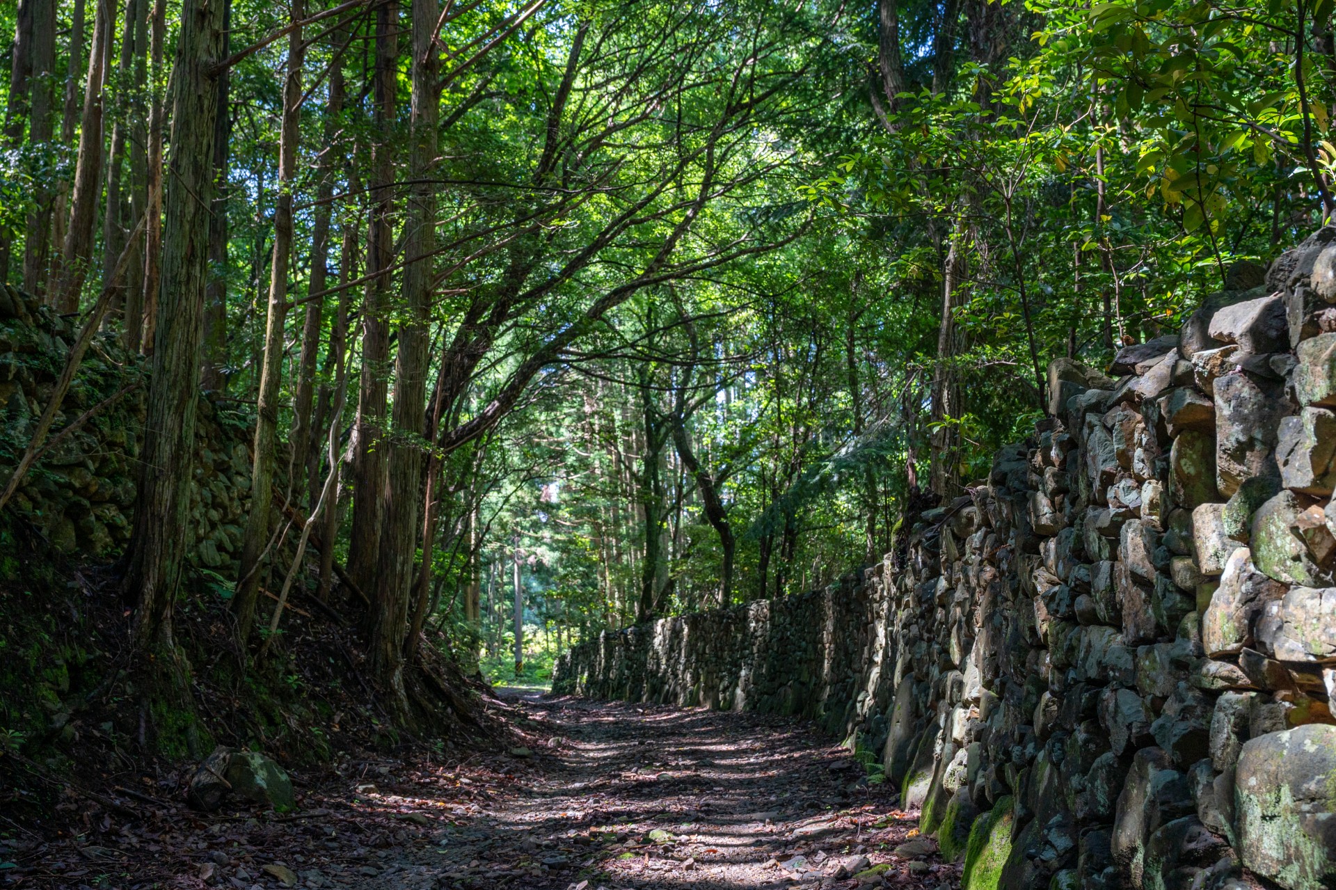 荷坂峠2