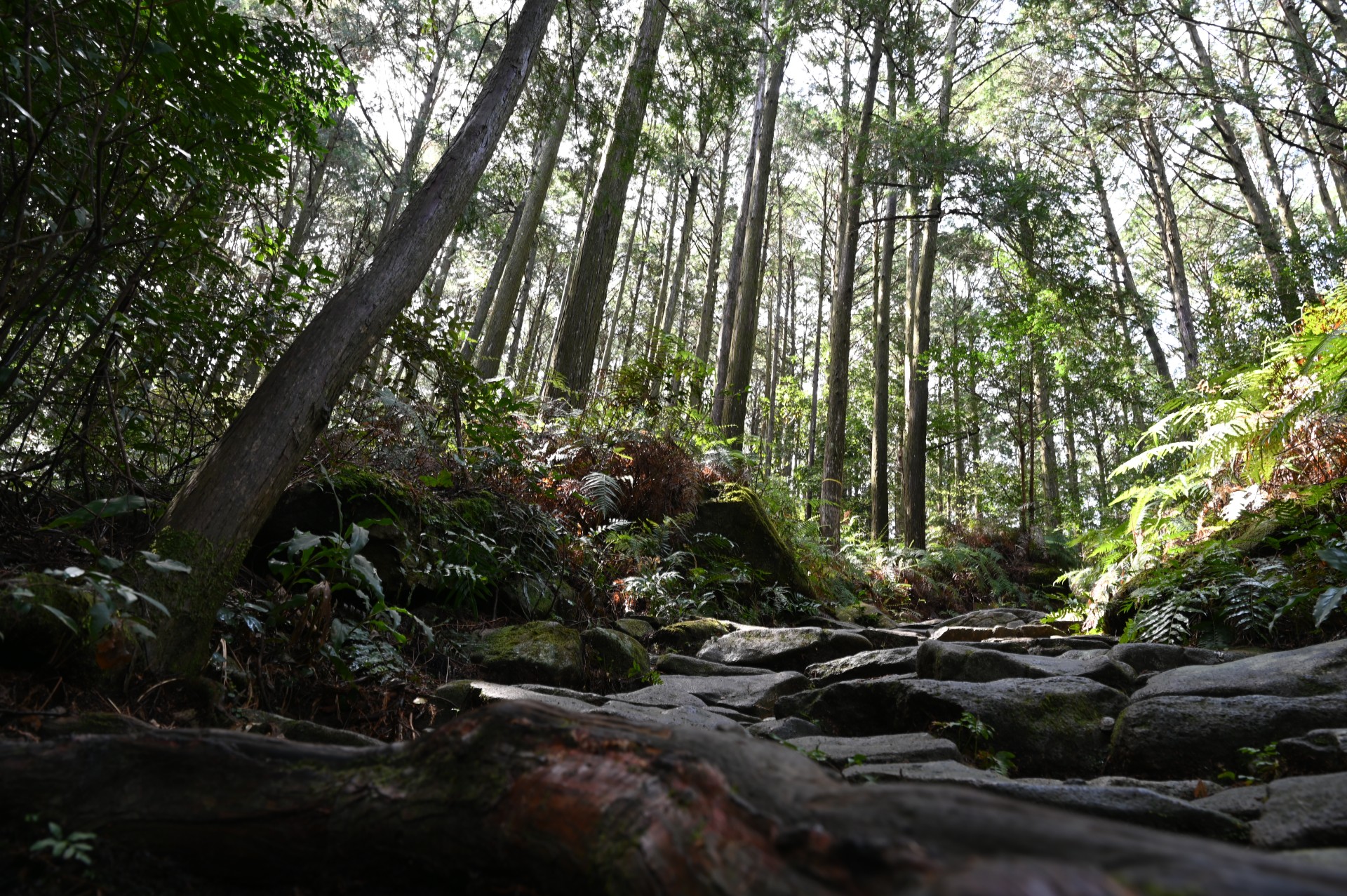 馬越峠2