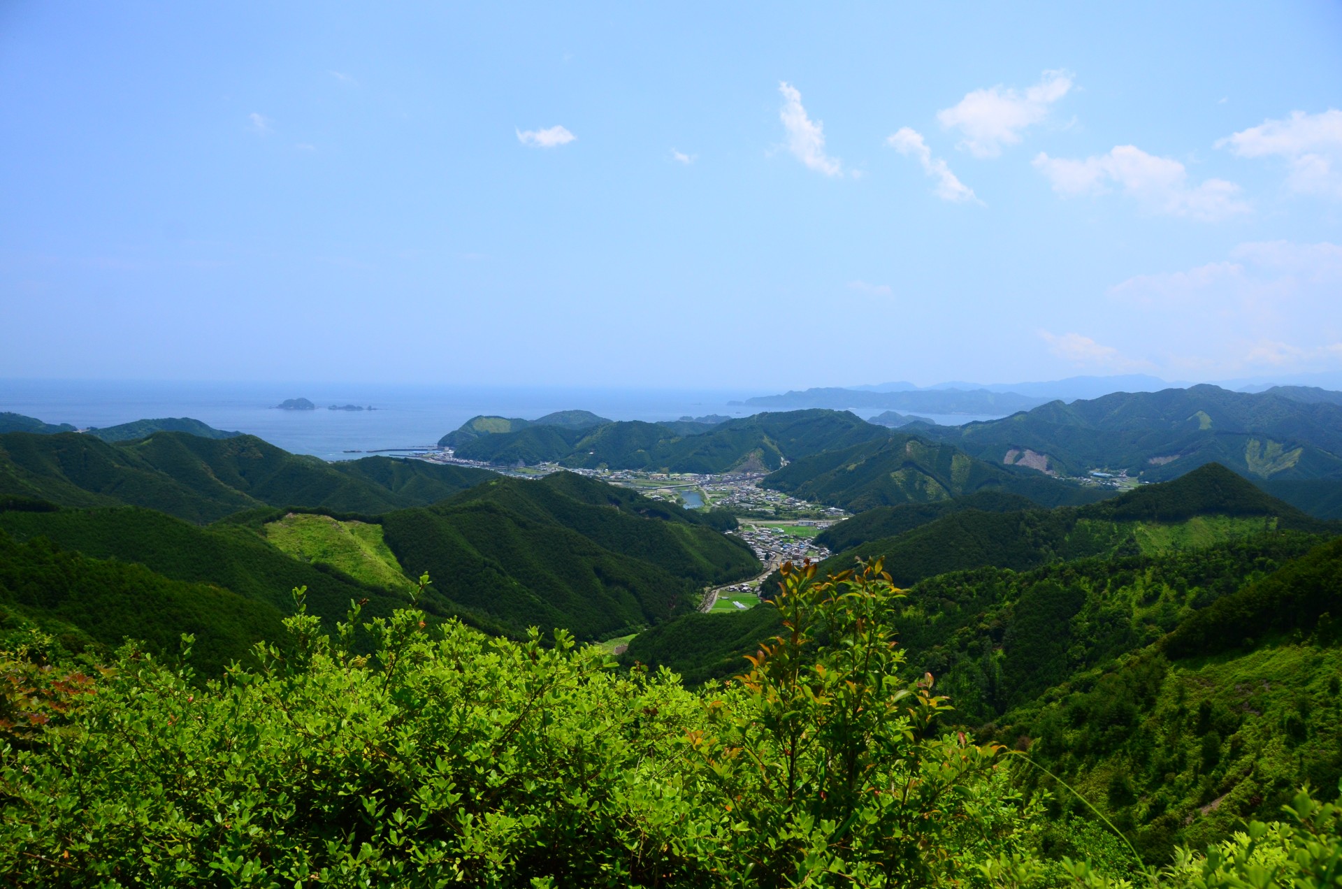 ツヅラト峠2