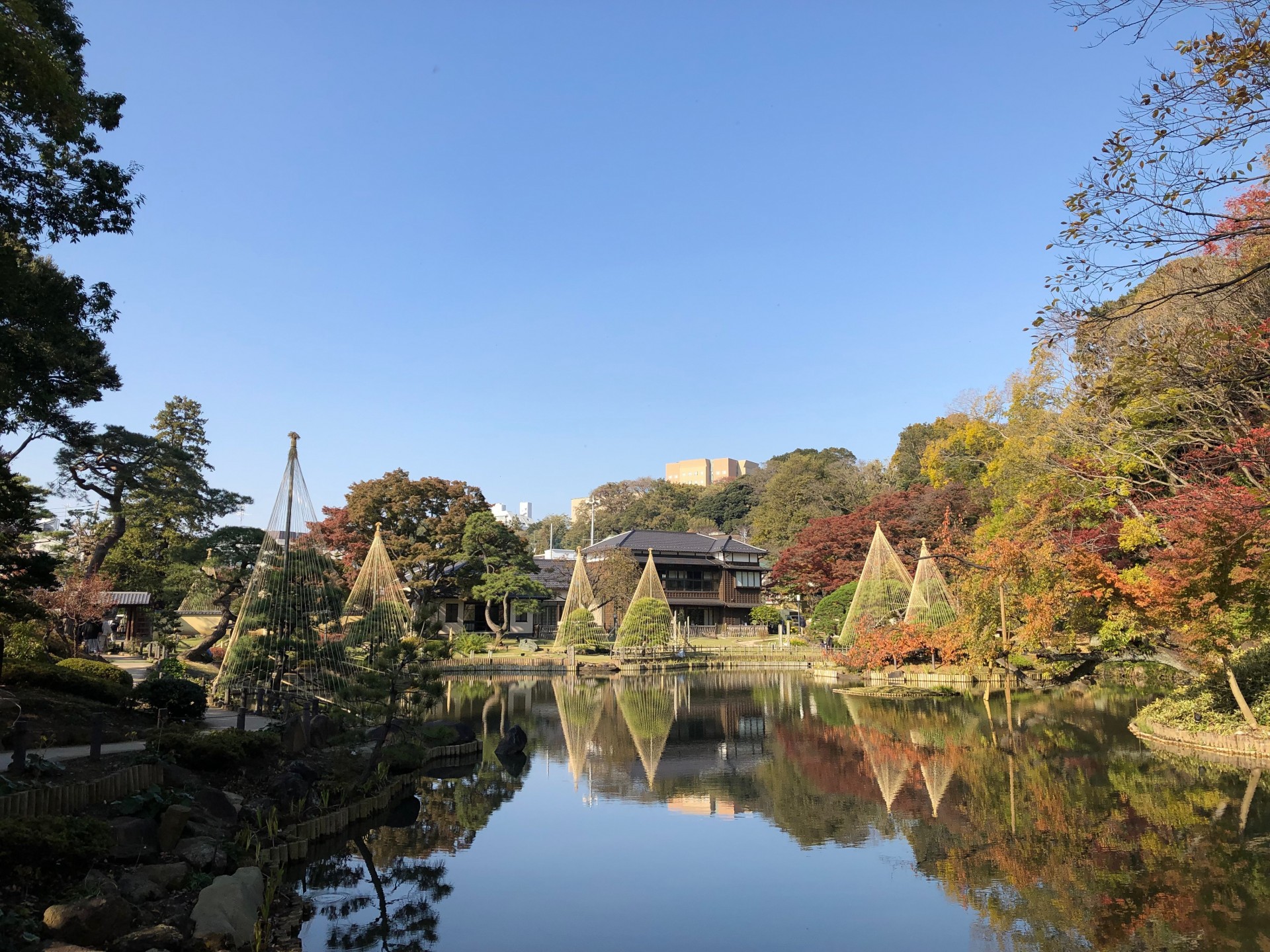 肥後細川庭園１