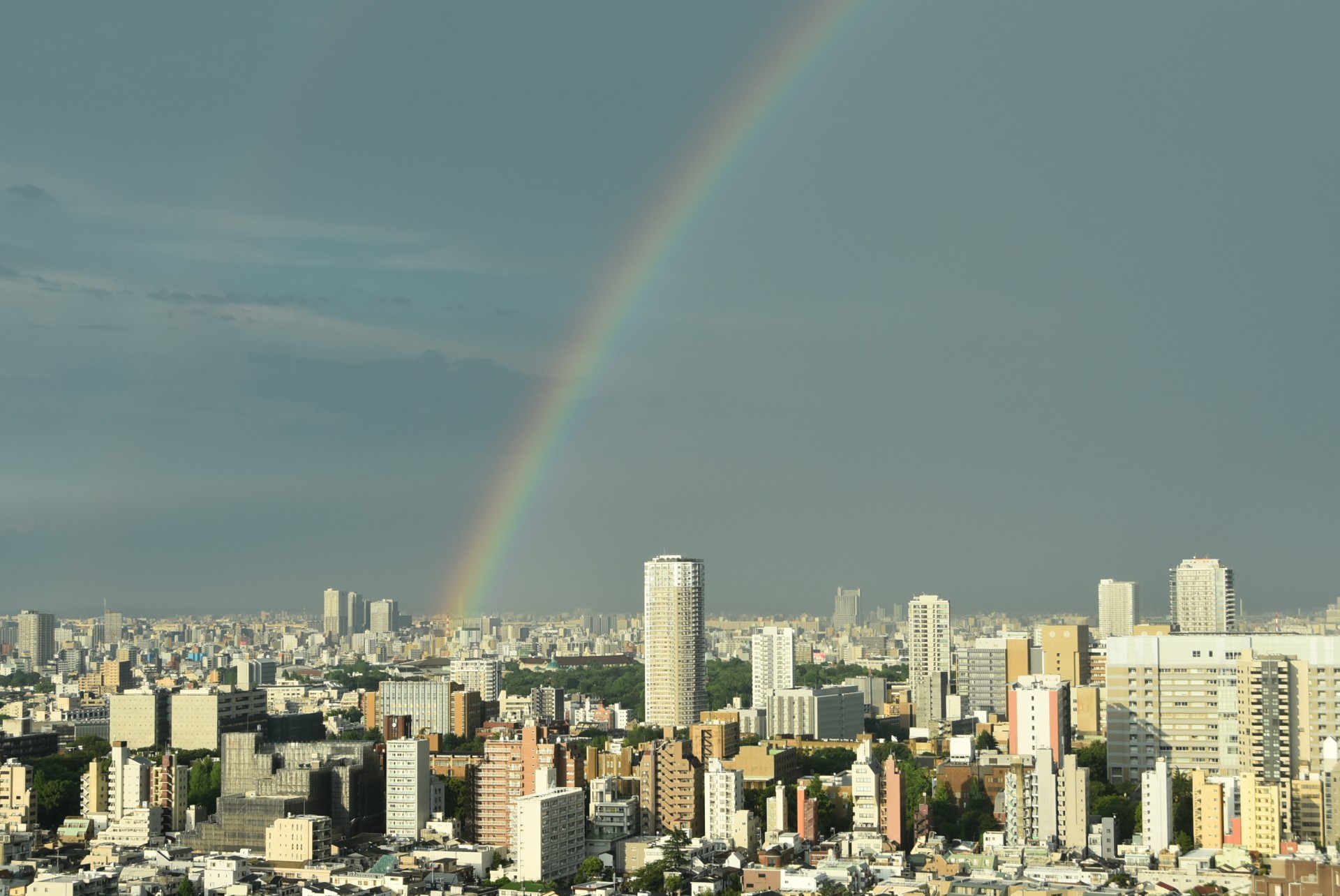 文京シビックセンターから見た虹３