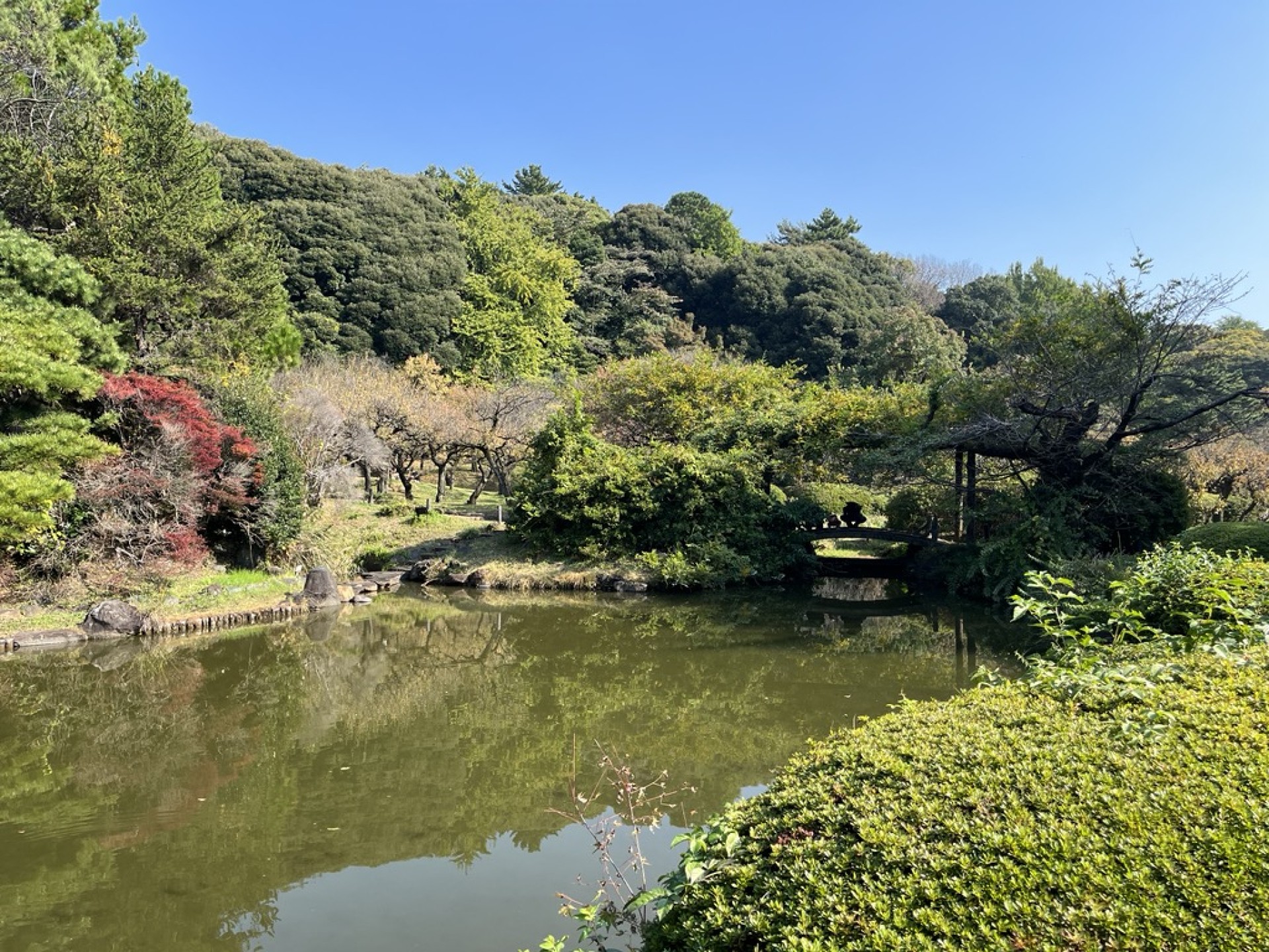 小石川植物園４