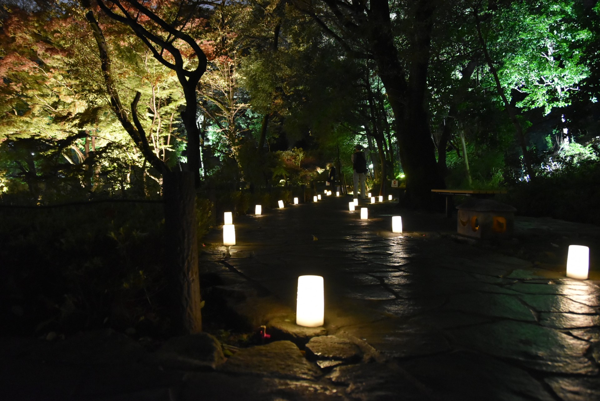 肥後細川庭園ひごあかり４