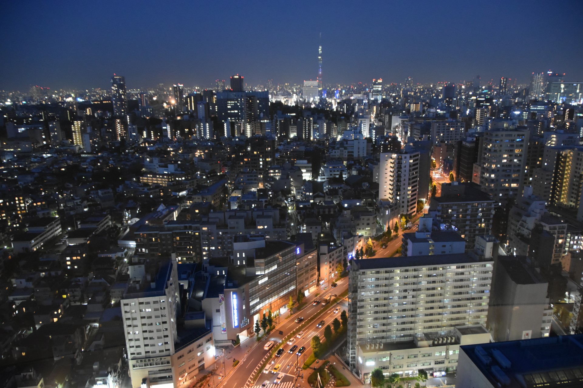 スカイビューラウンジからの夜景２