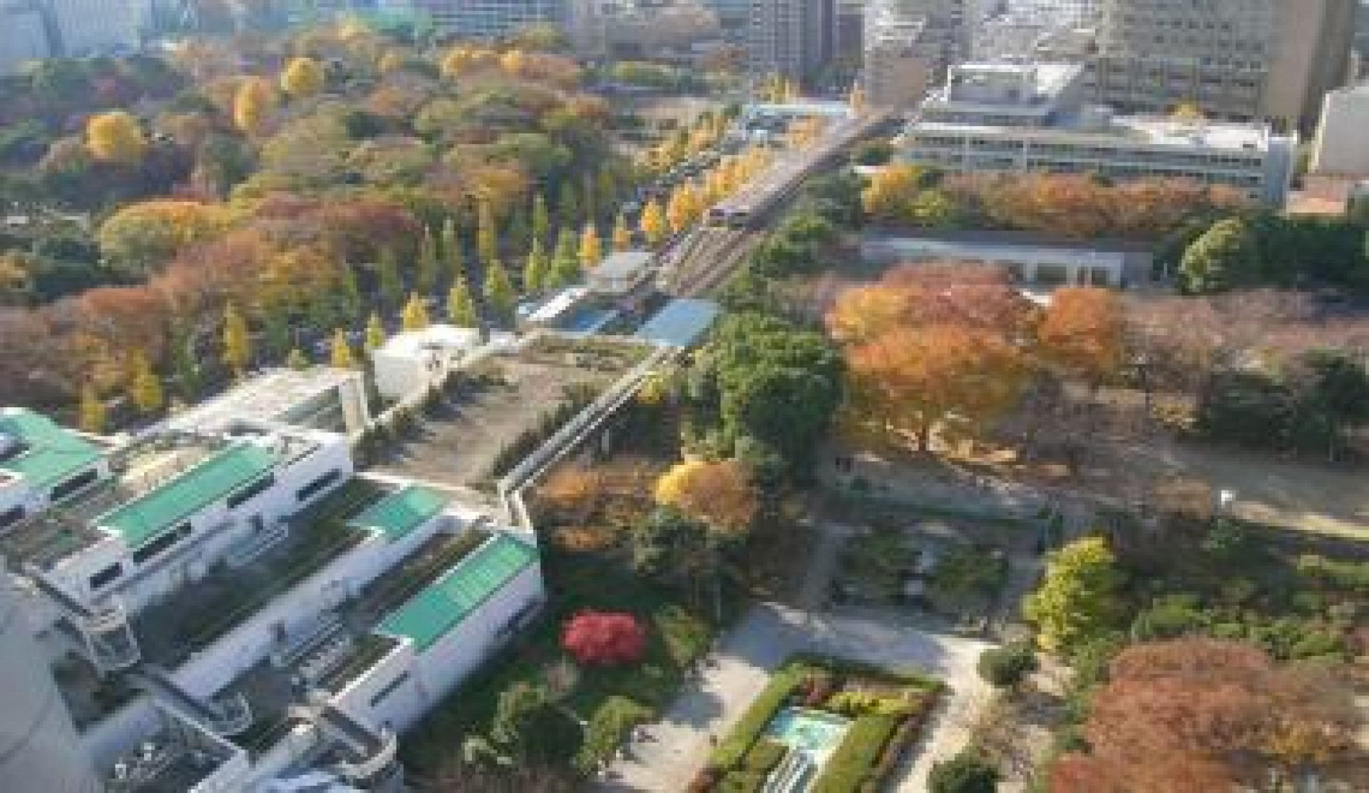 礫川公園