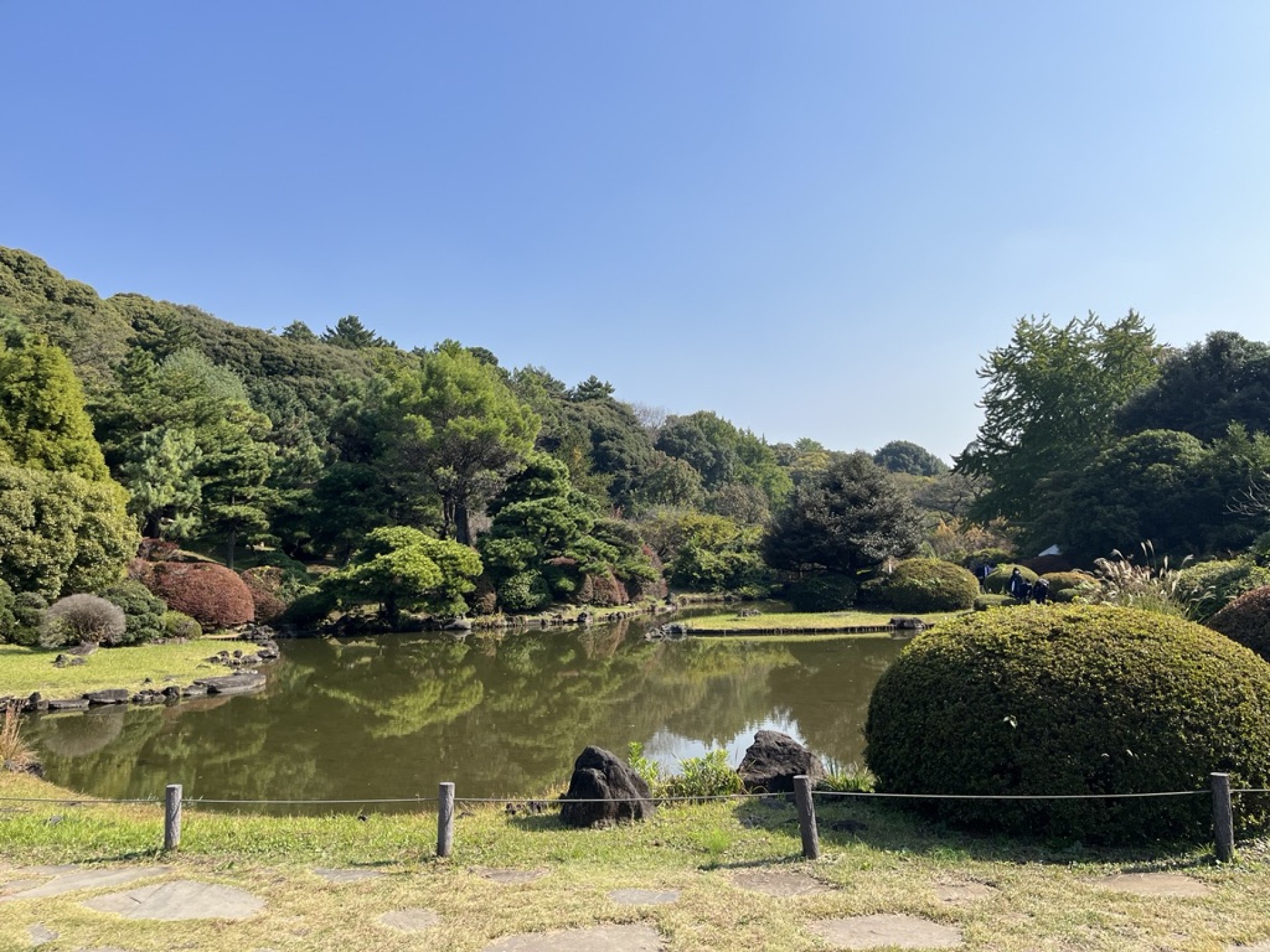 小石川植物園３