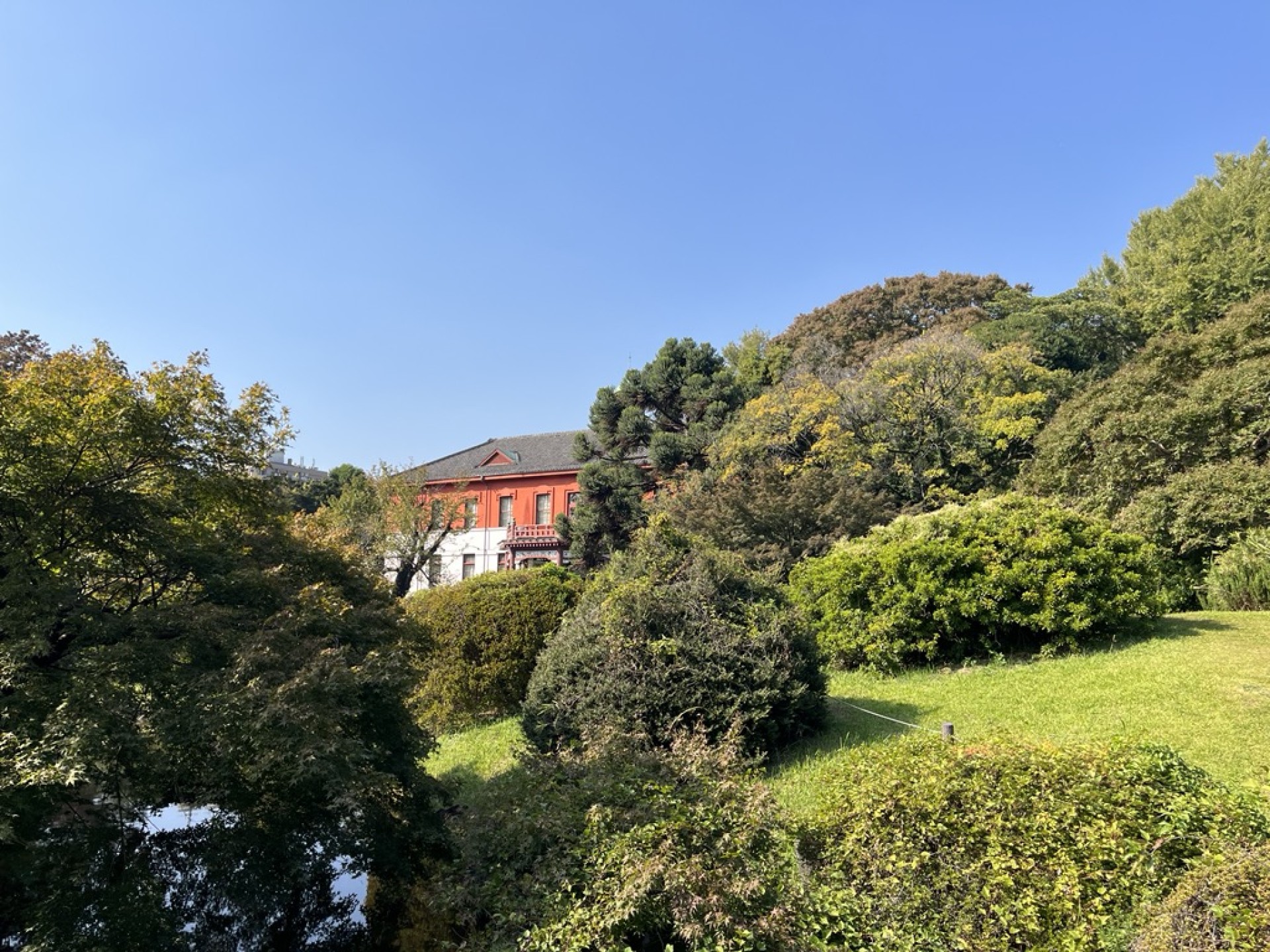 小石川植物園２