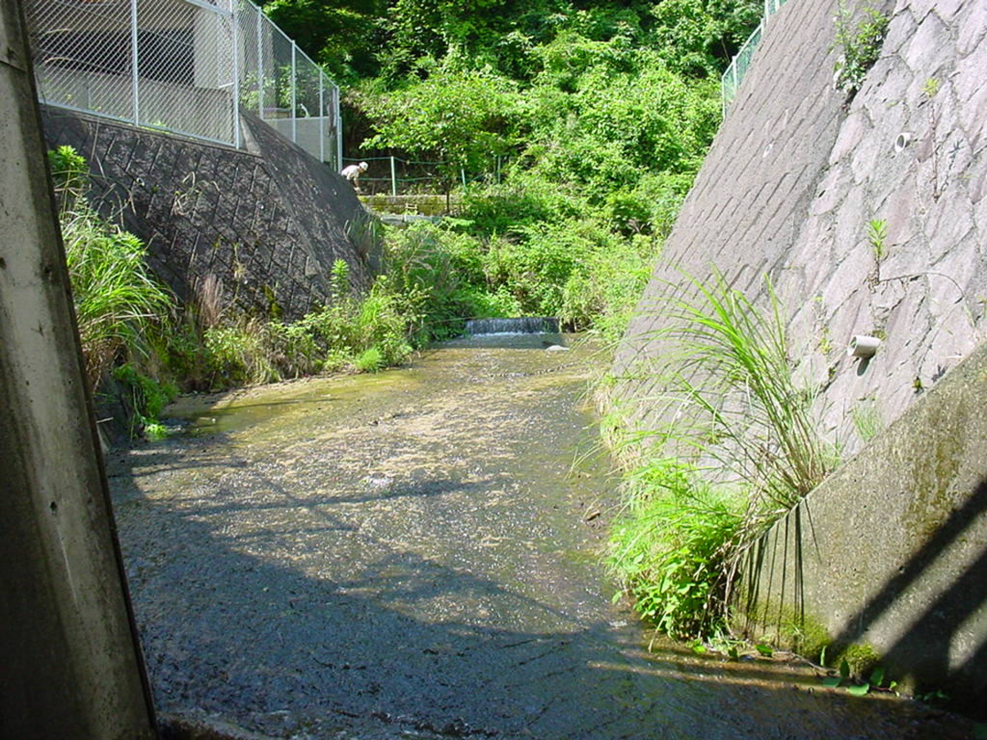 2004宝山寺川