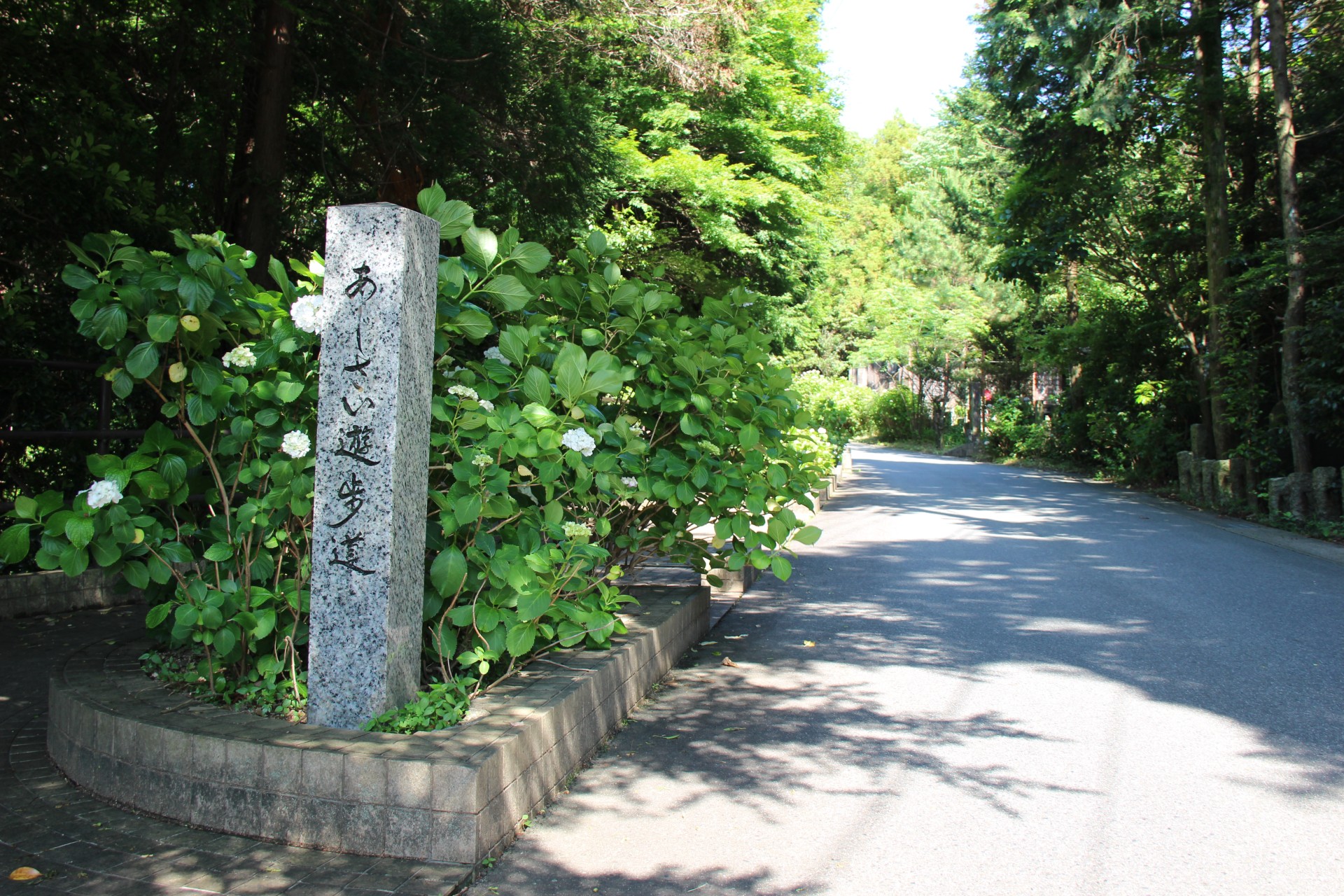 あじさい遊歩道