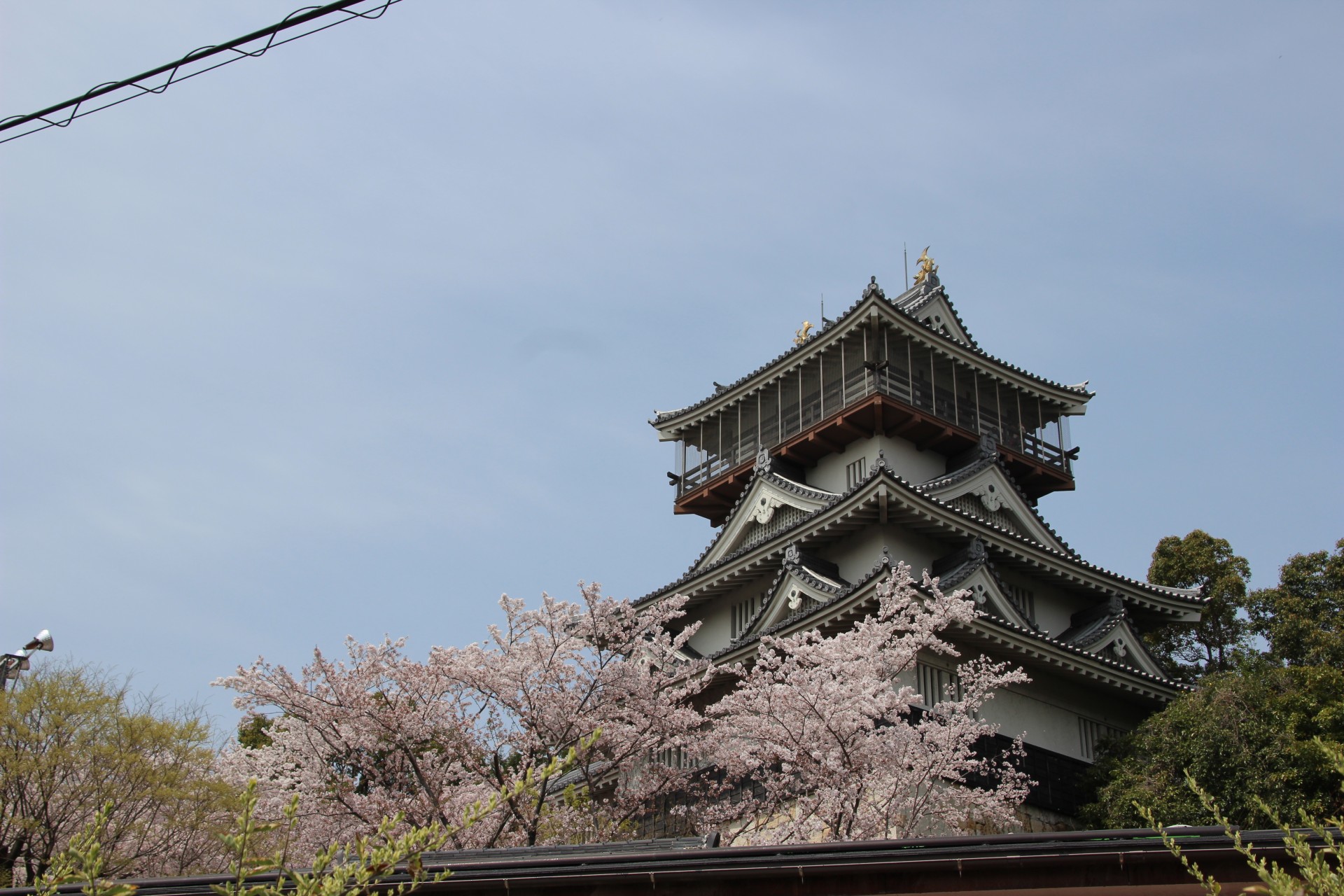 岩崎城と桜（４）