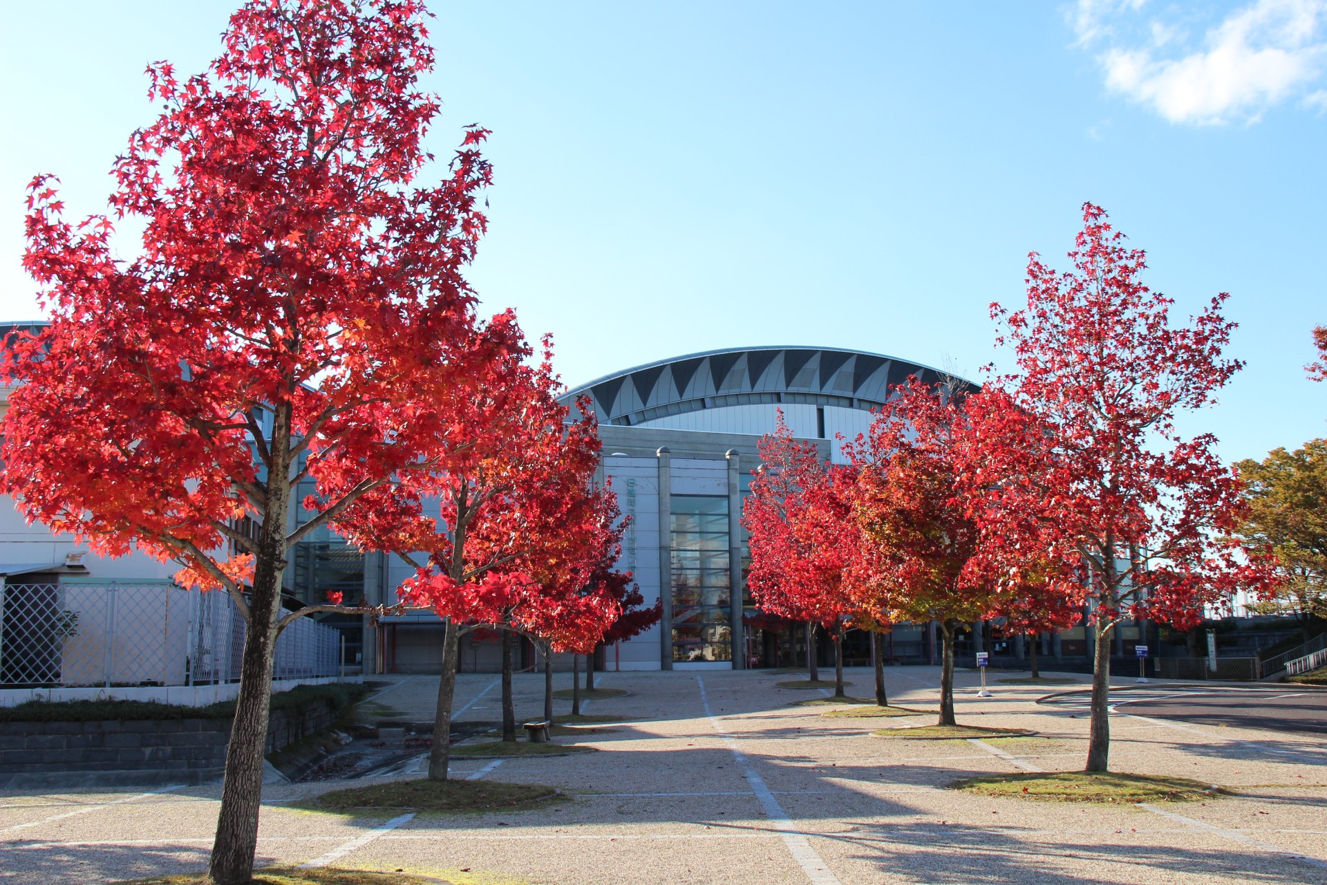 日進市スポーツセンター　紅葉