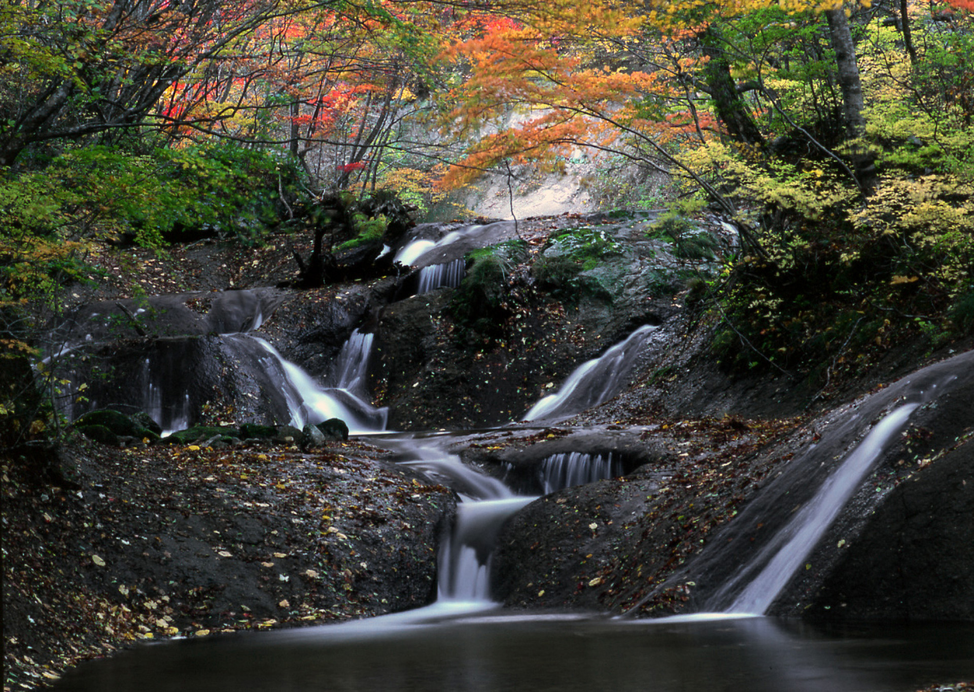 御所　矢櫃の渓流