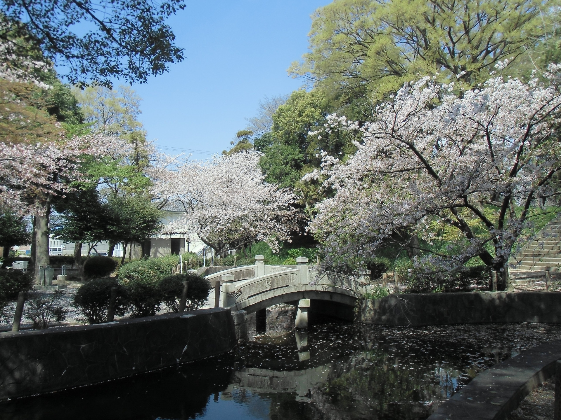 八幡公園