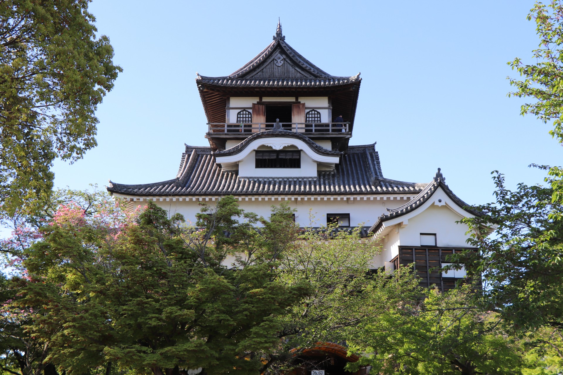 初夏の犬山城