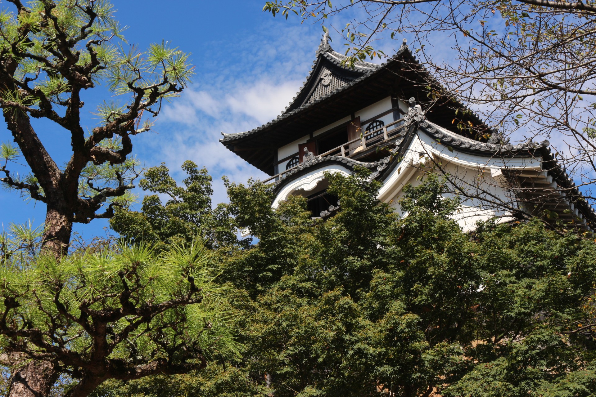 夏の犬山城