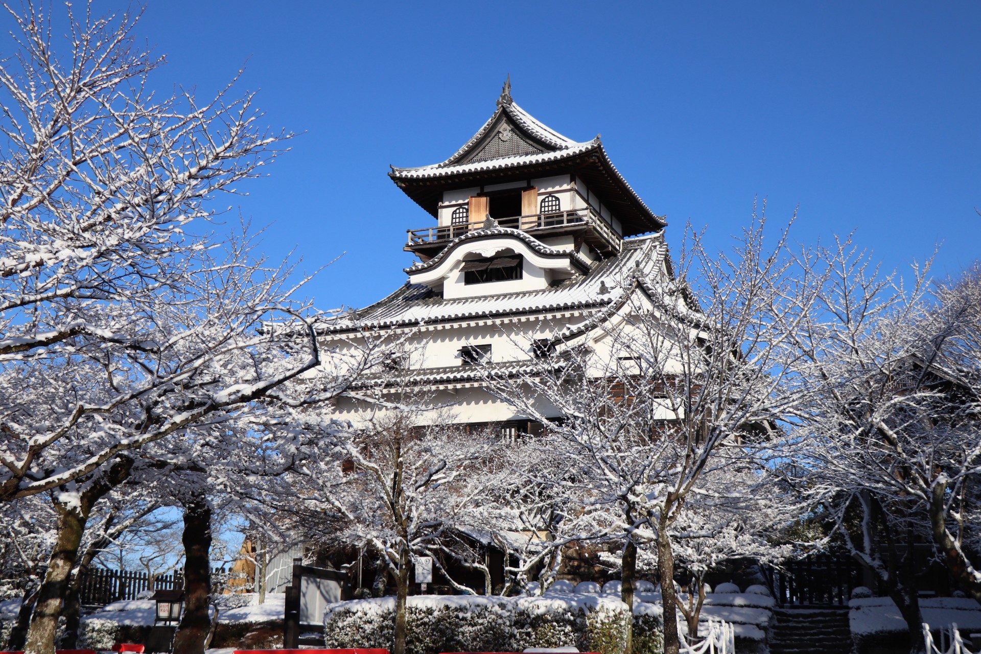 雪の犬山城