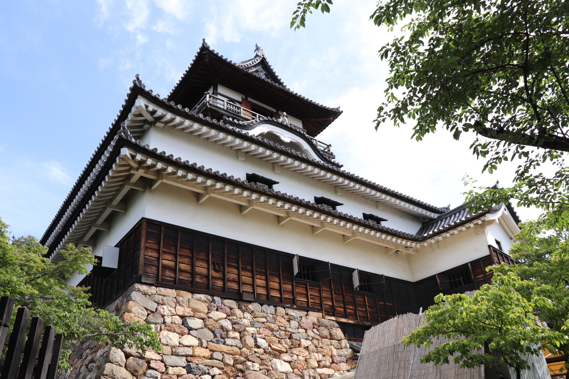 初夏の犬山城