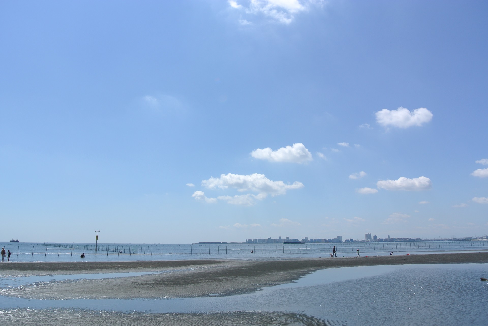 【ふなばし三番瀬海浜公園】干潟