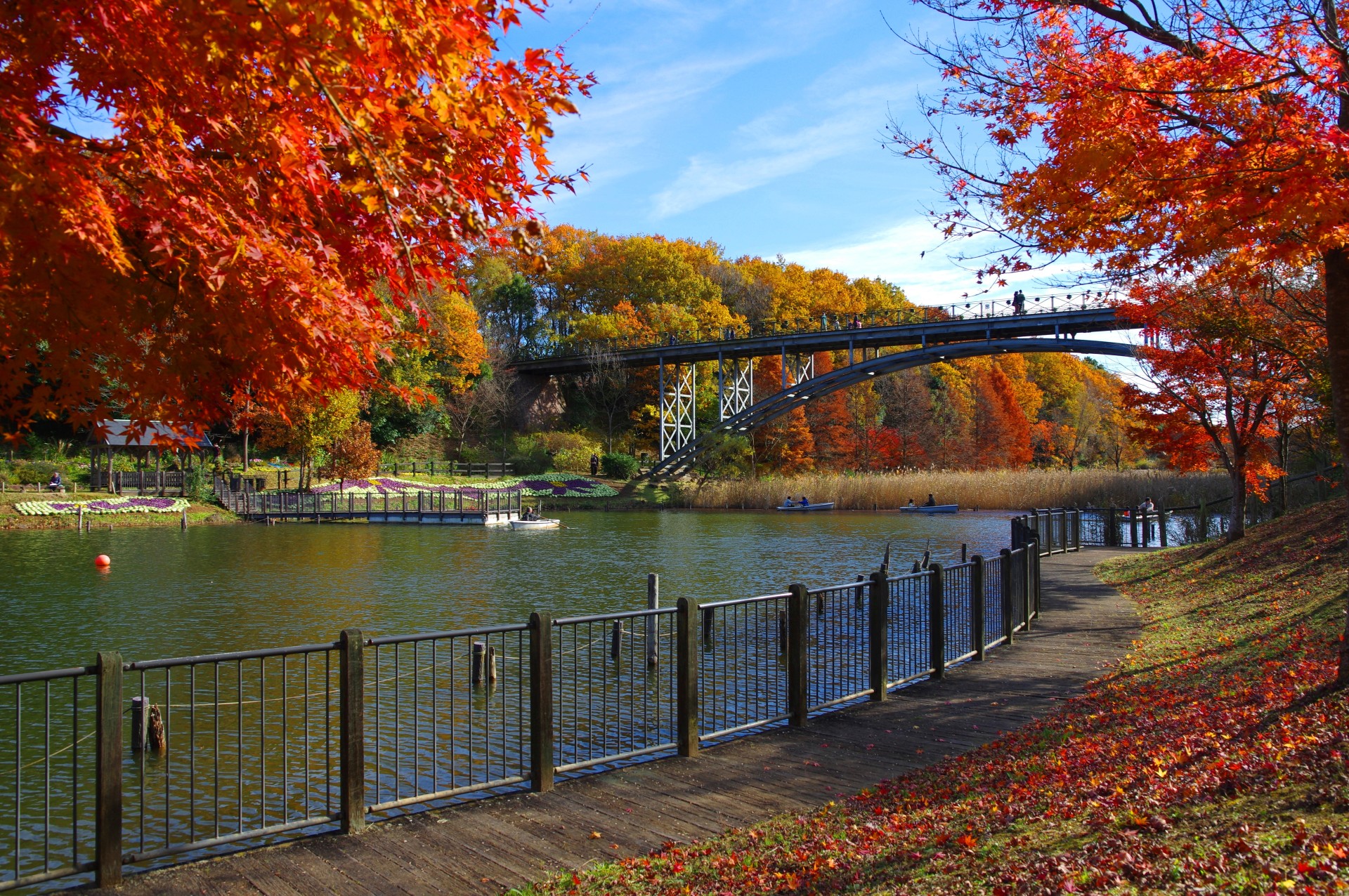 【ふなばしアンデルセン公園】園内（紅葉）