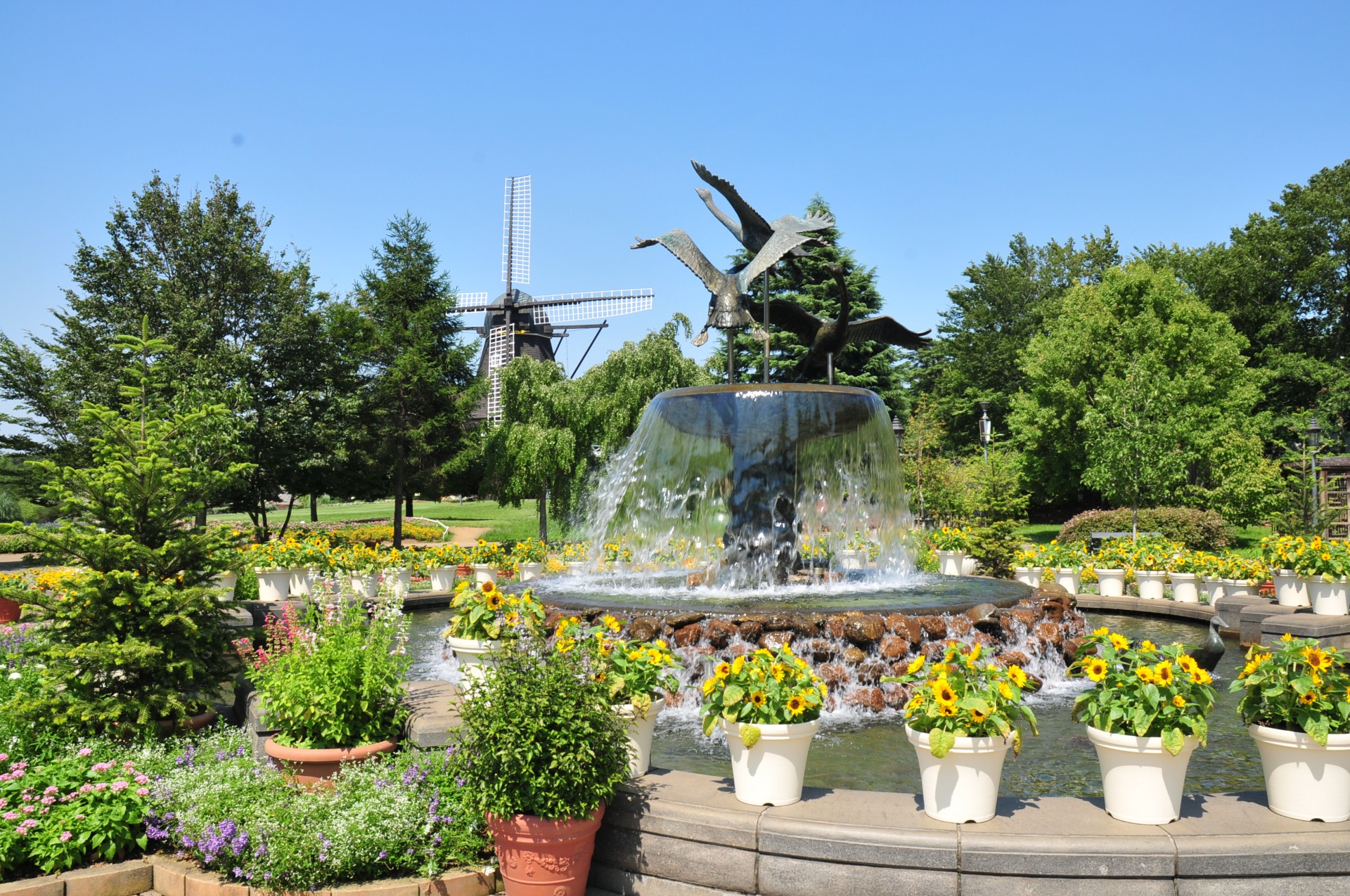 【ふなばしアンデルセン公園】園内（夏）