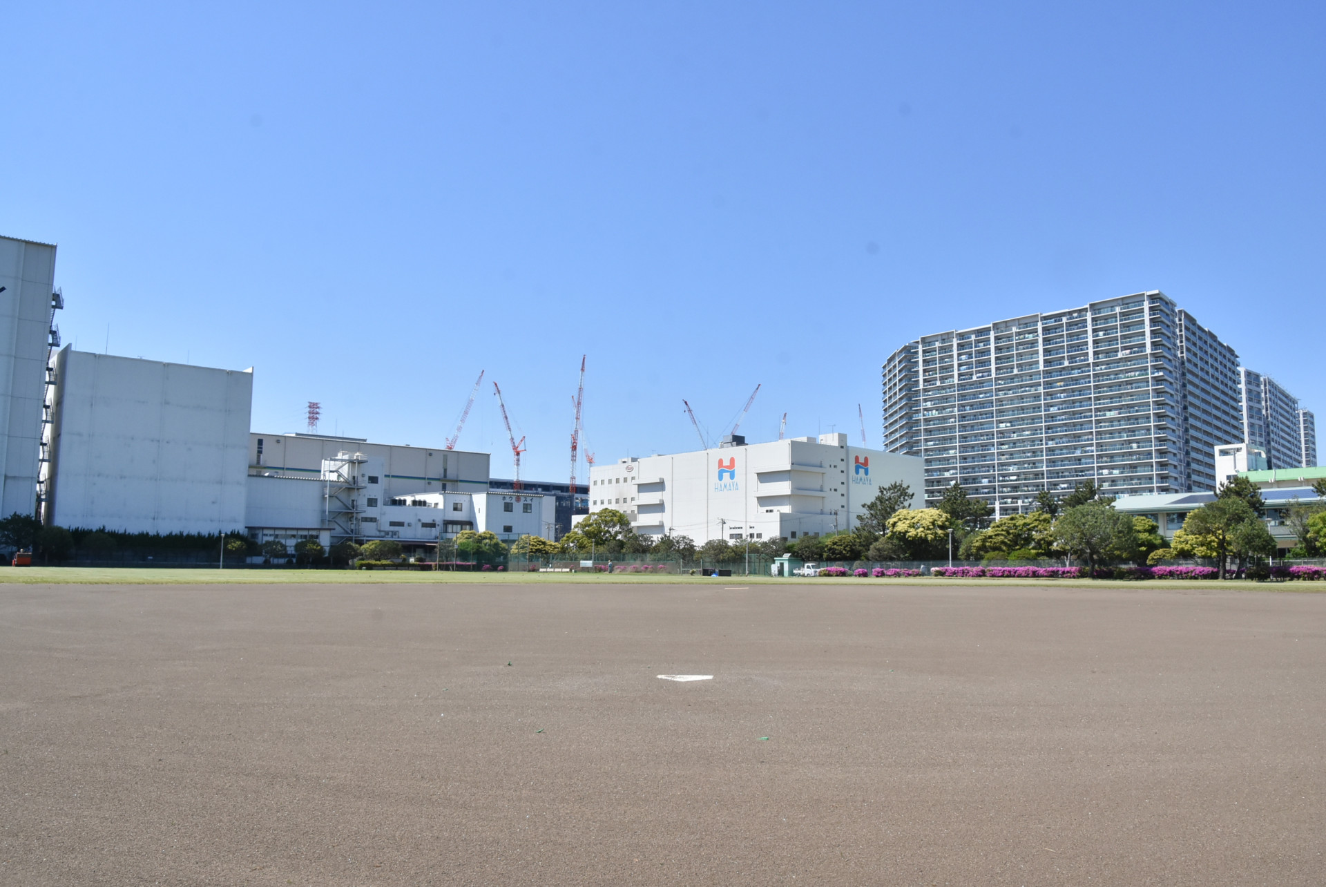 【若松公園】野球場