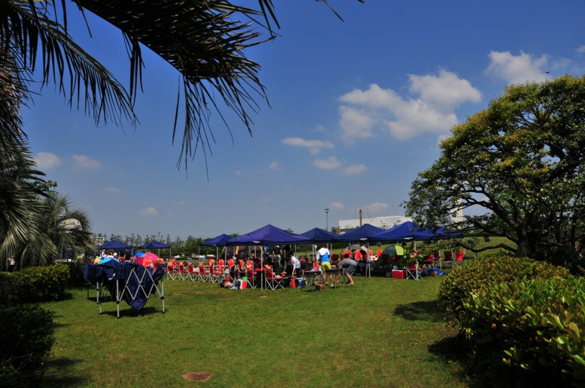 【ふなばし三番瀬海浜公園】BBQエリア