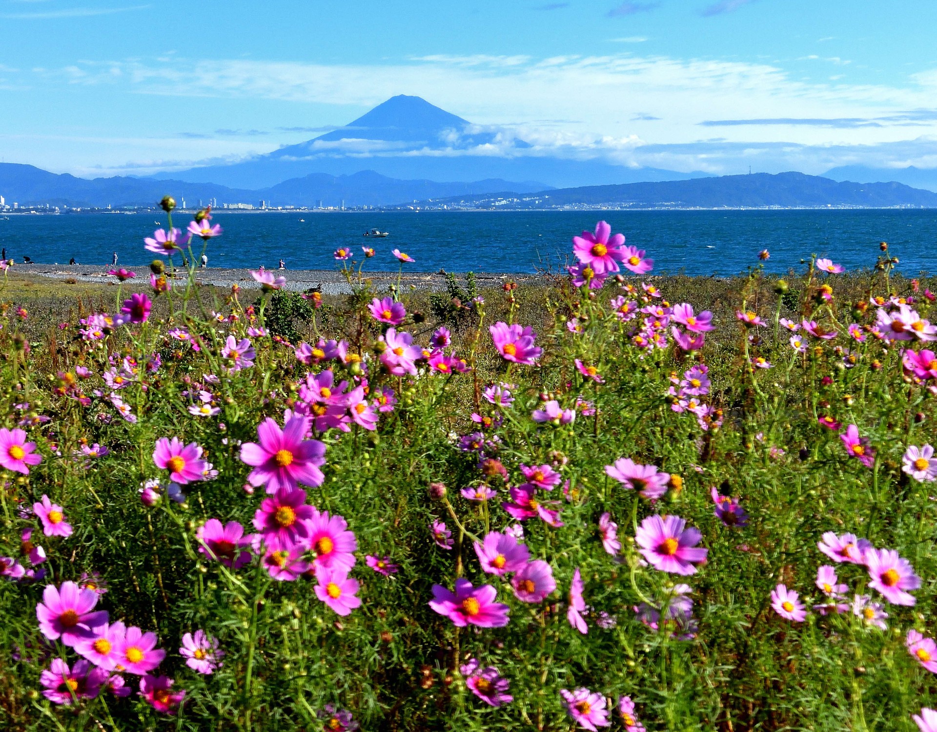 石津海岸公園（2024年版焼津カレンダー10月）