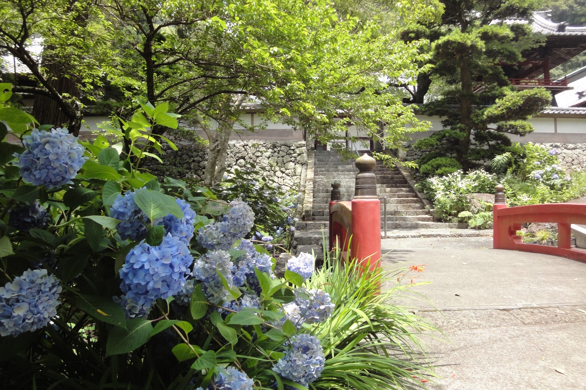 林叟院