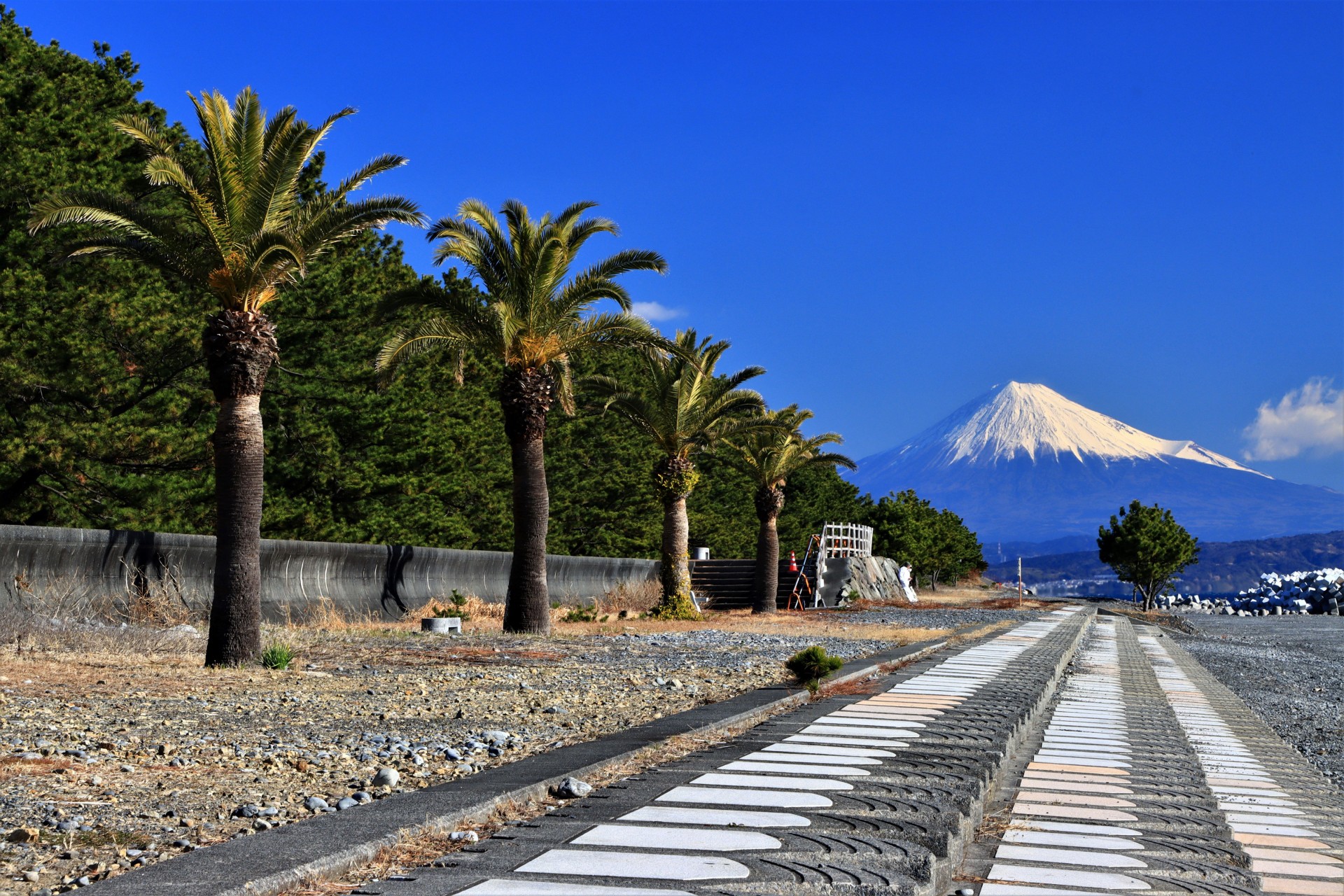 和田浜海岸からの富士山