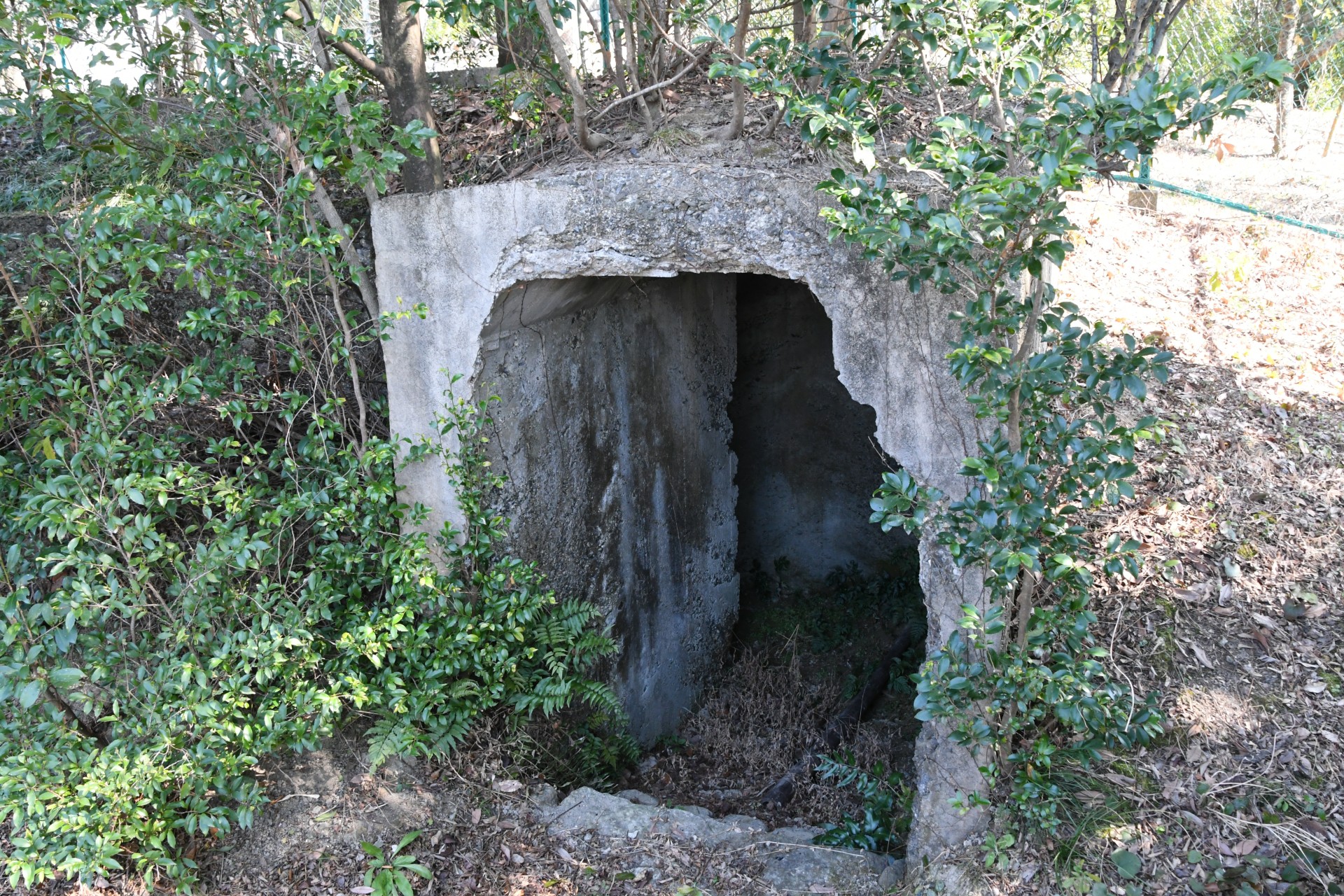 20240213_永井前野記念公園 (9)