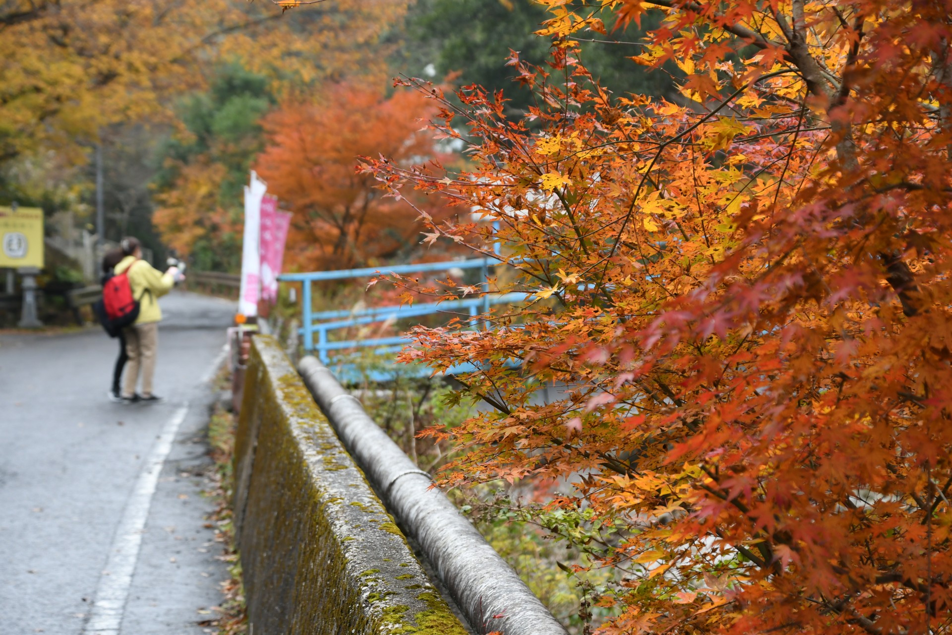 20231123_湯の山温泉街1