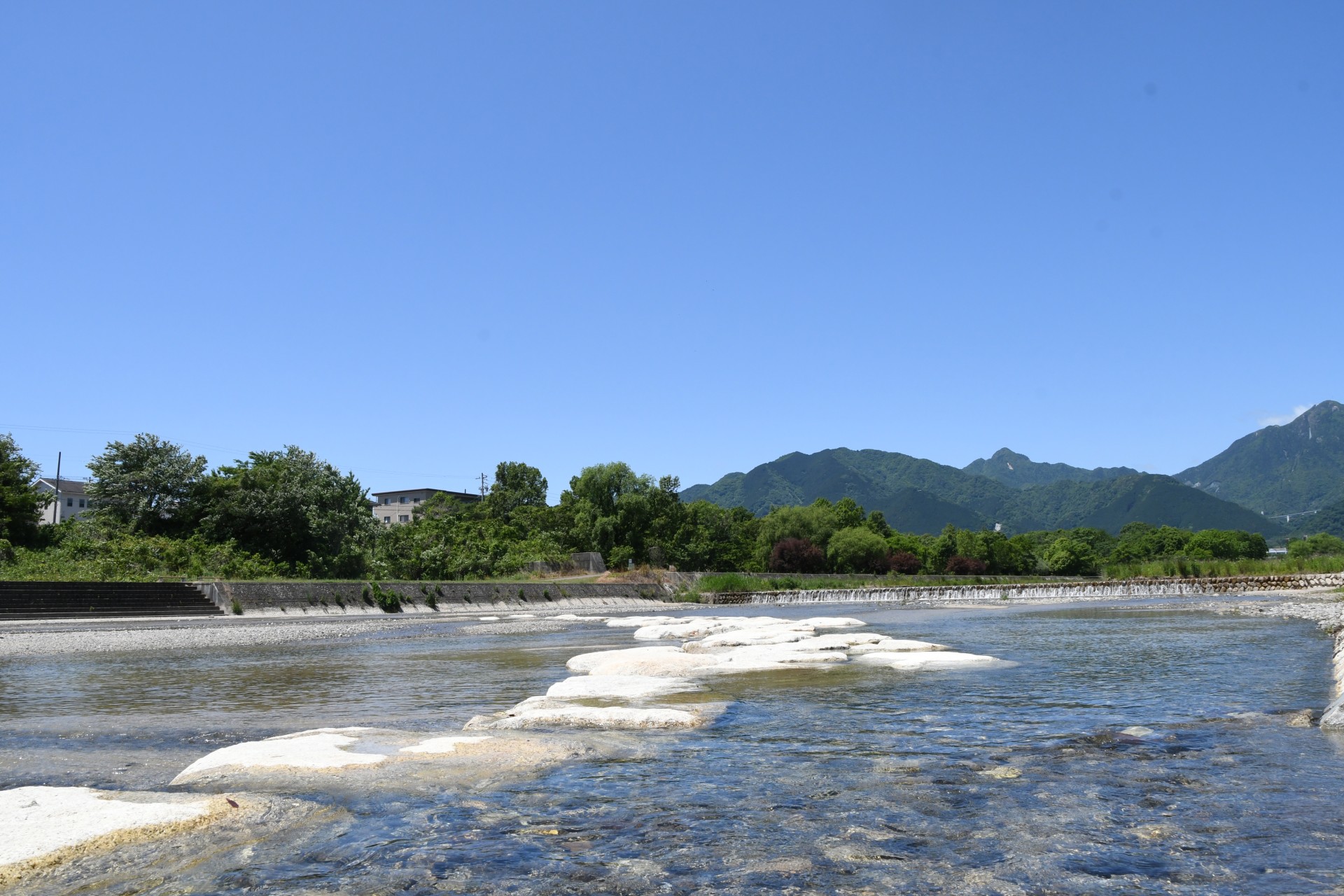 20230524_三滝川河川敷 (1)